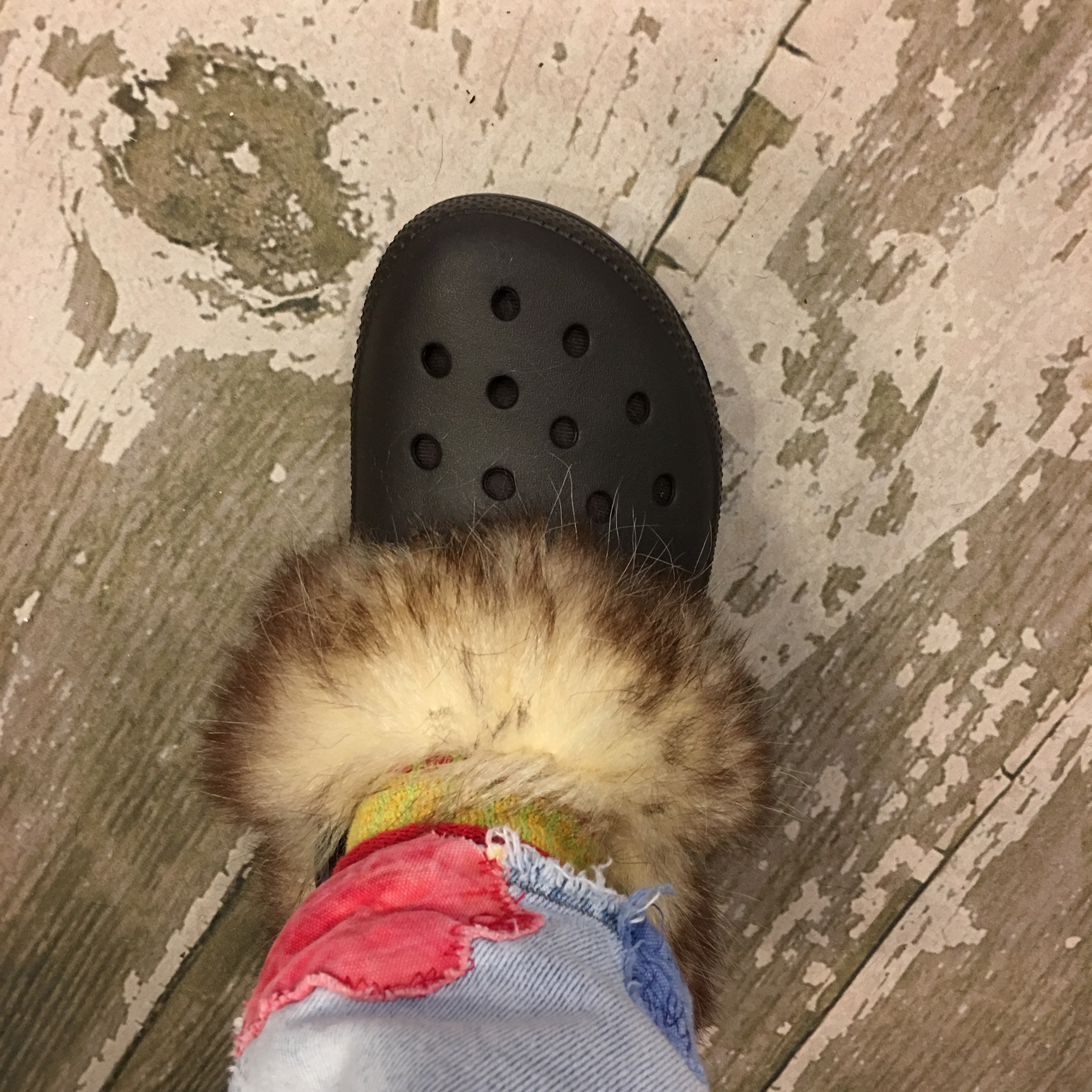 Diy fur lined crocs Clearance