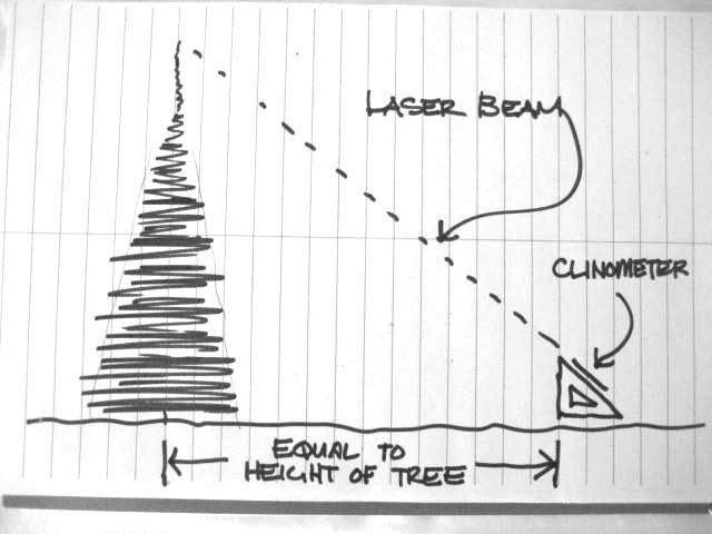 DIY guide for Simple Clinometer - for measuring tree height with step-by-step instructions