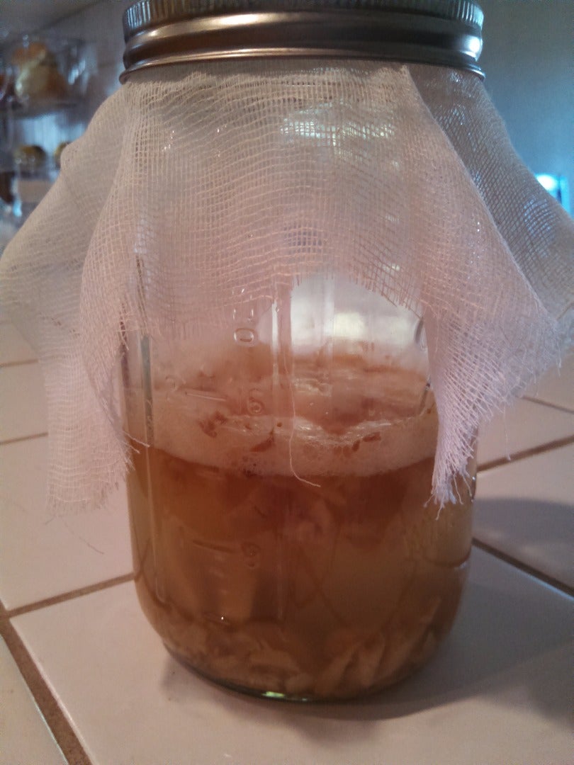 Homemade Ginger Beer With Wild Yeast 3 Steps (with Pictures