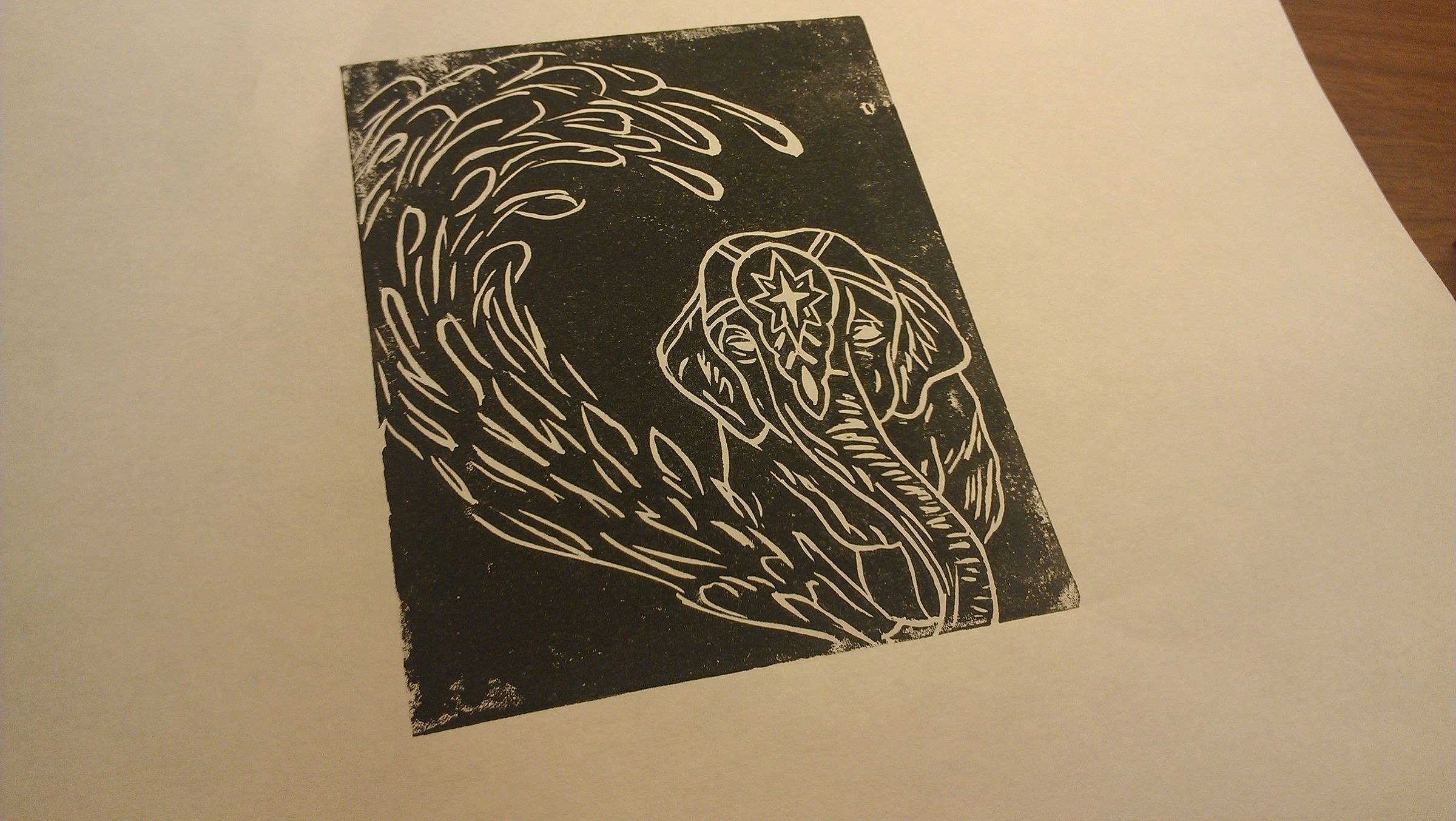 Linoleum Block Printing 6 Steps (with Pictures) Instructables