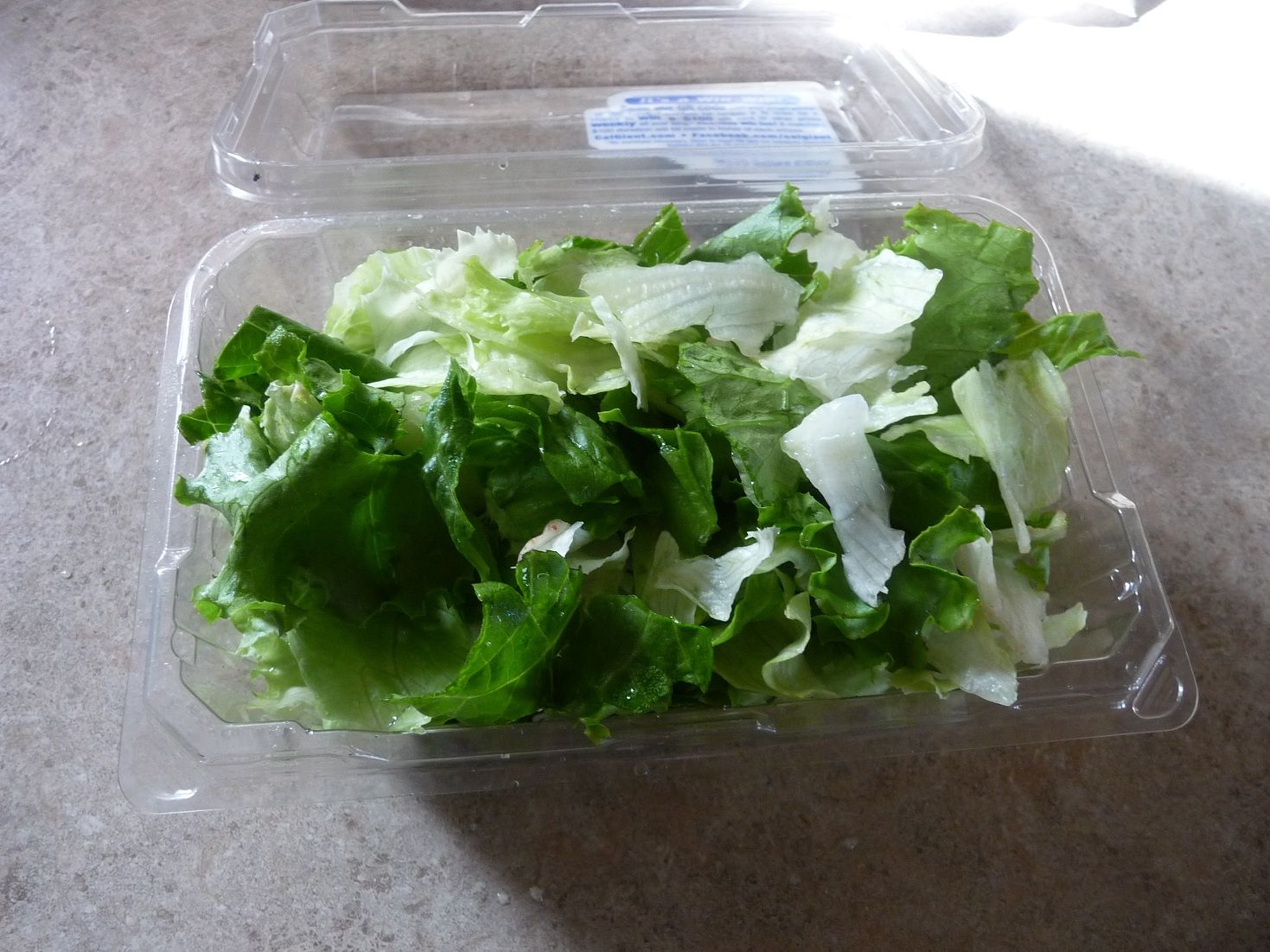 Keep Salad Greens Fresh! (with Pictures) Instructables
