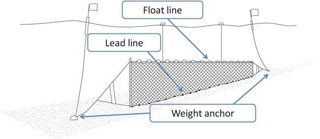 Running a Gill Net to Collect Fish Samples : 11 Steps - Instructables