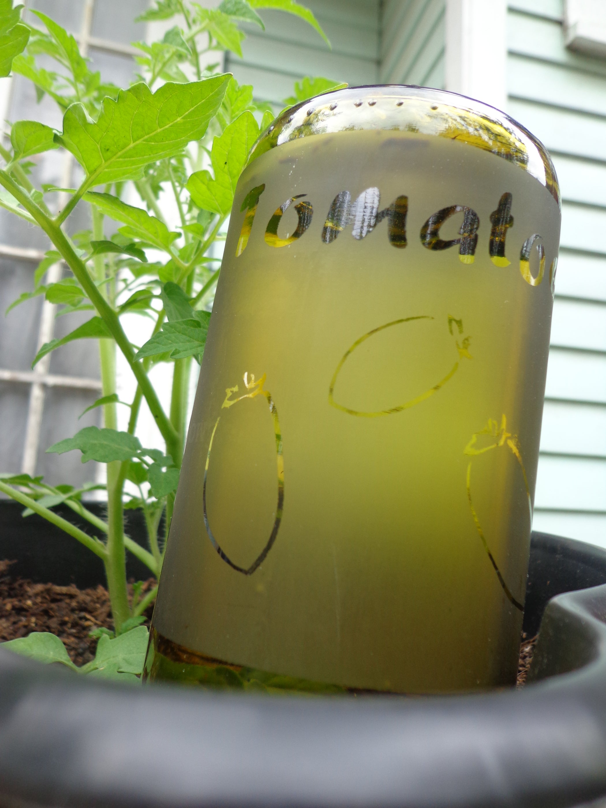 Upcycled Wine Bottle Watering 7 Steps (with Pictures) Instructables