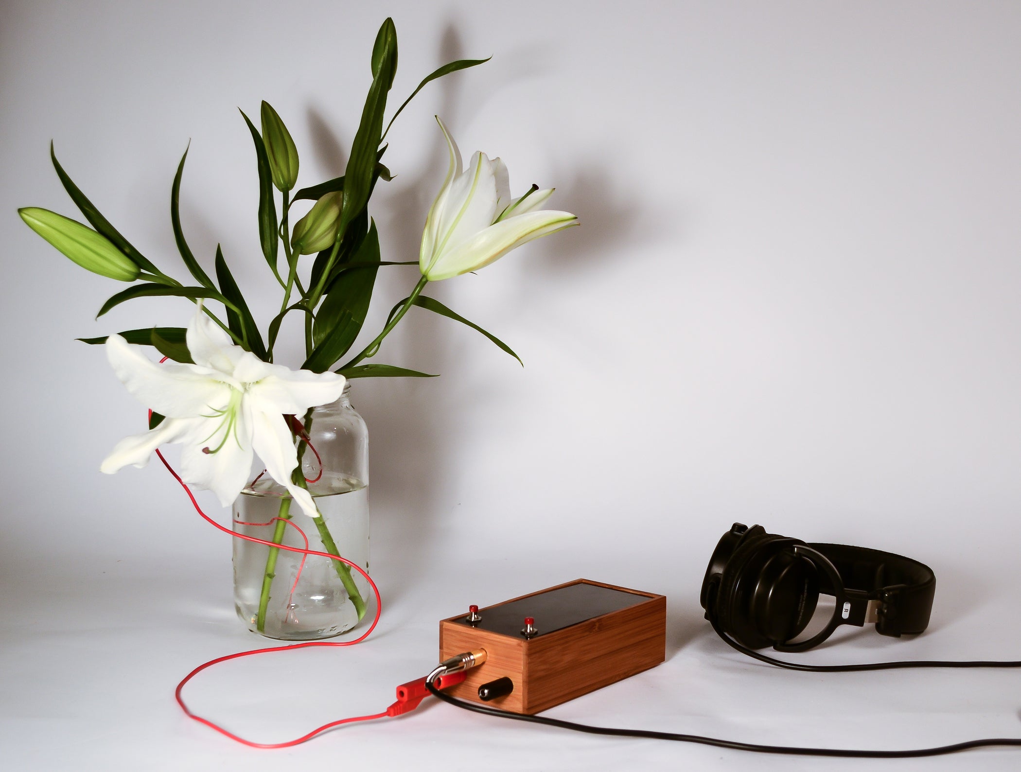 Singing Plant. Make Your Plant Sing With Arduino, Touche and a