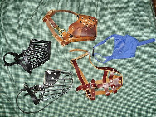 Choose the right Muzzle for your Dog