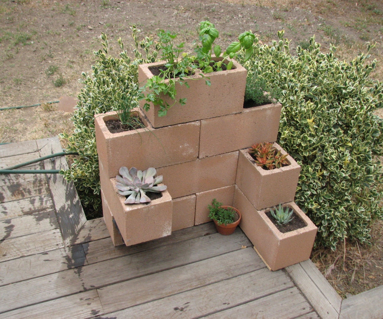 Cinder Block Planter 5 Steps (with Pictures) Instructables