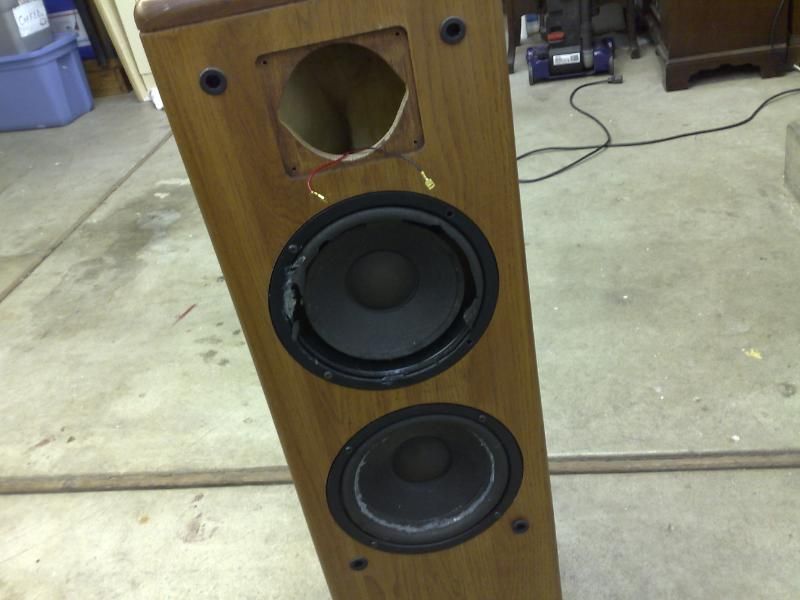 speaker refoaming near me