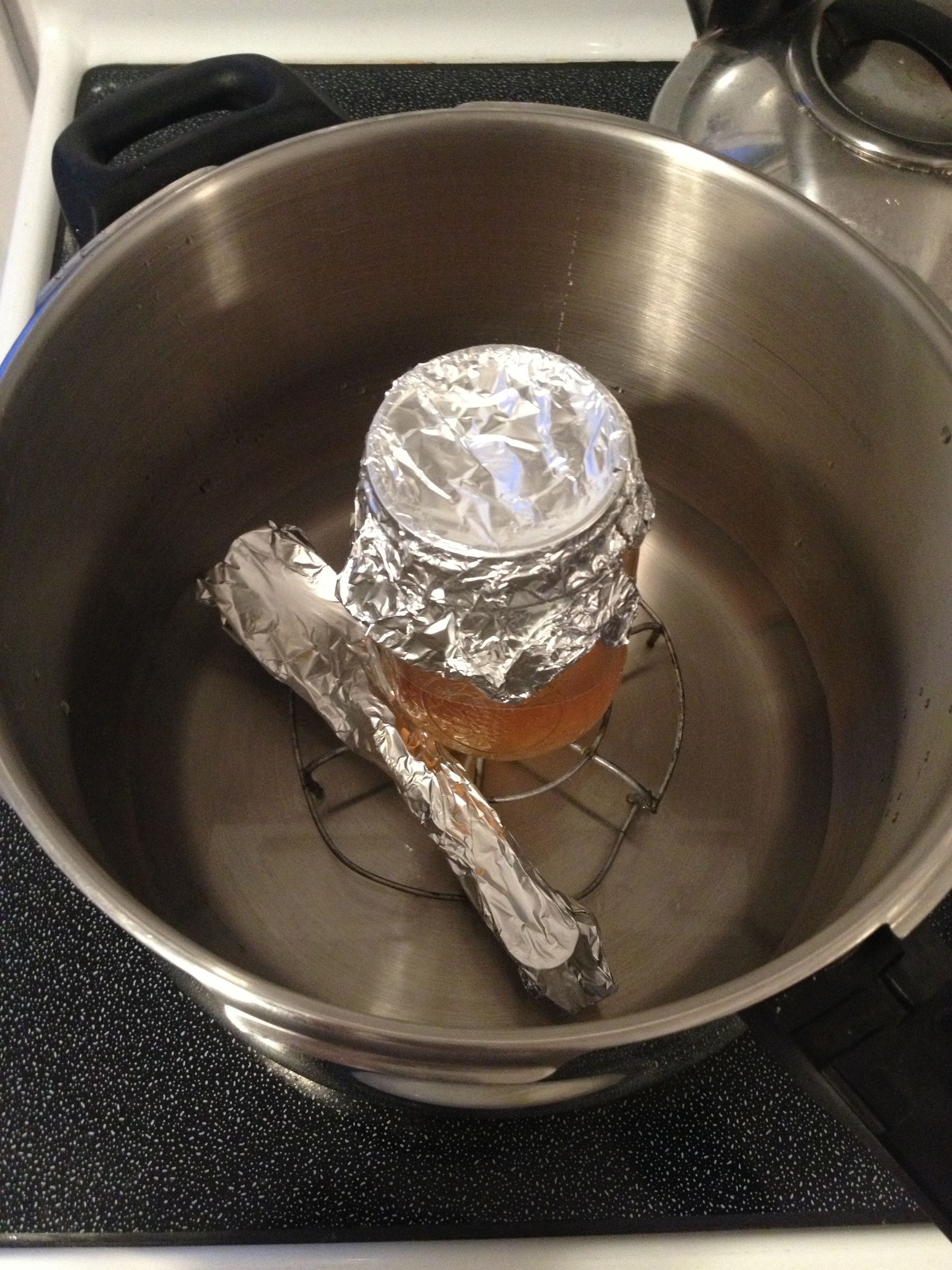 How to Sterilize Autoclavable Materials at Home Using a Pressure Cooker