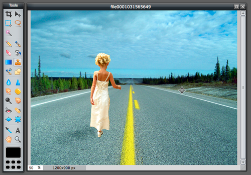 Cutting Things Out Of An Image Using Pixlr Editor S Lasso Tool 3 Steps With Pictures Instructables