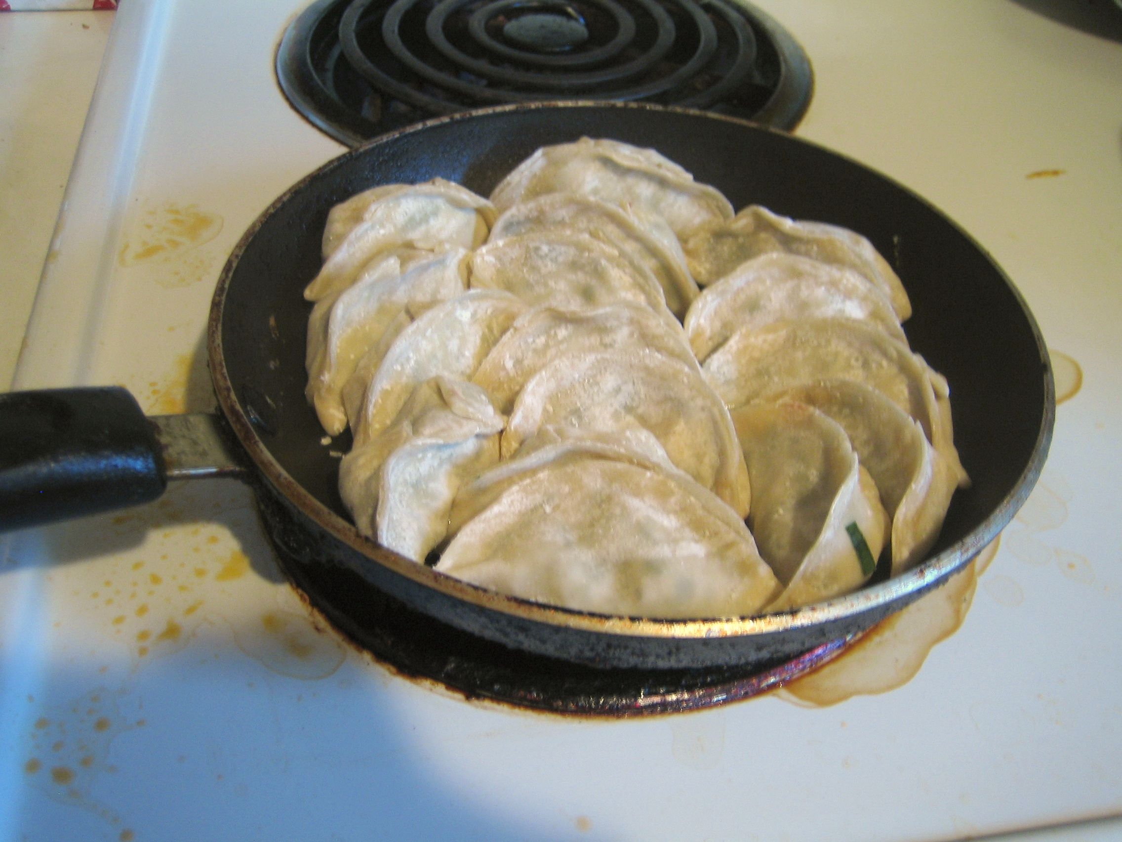 How to Make Potstickers From Scratch! 6 Steps (with Pictures