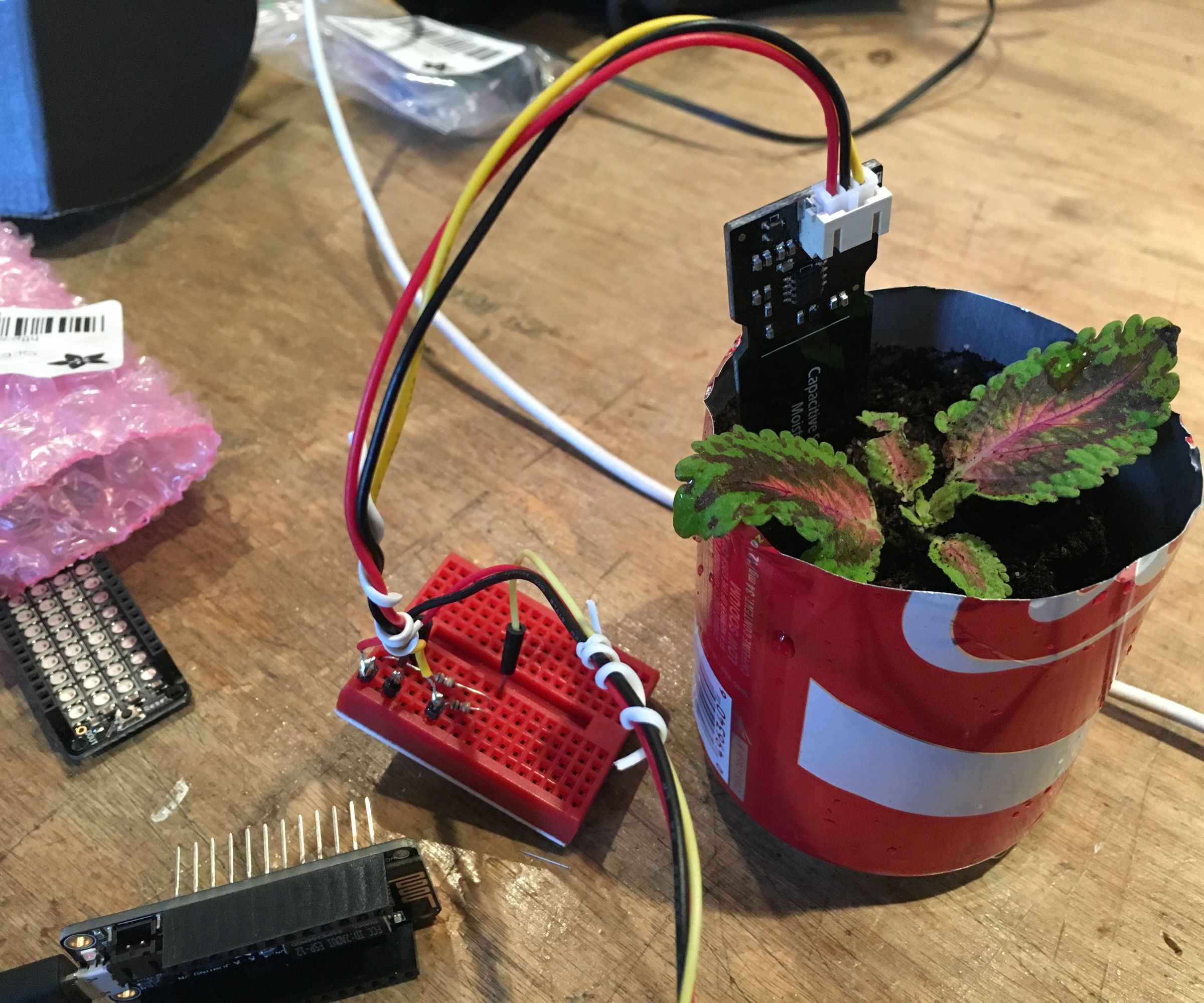 Internet of Dirt: a Texting Plant