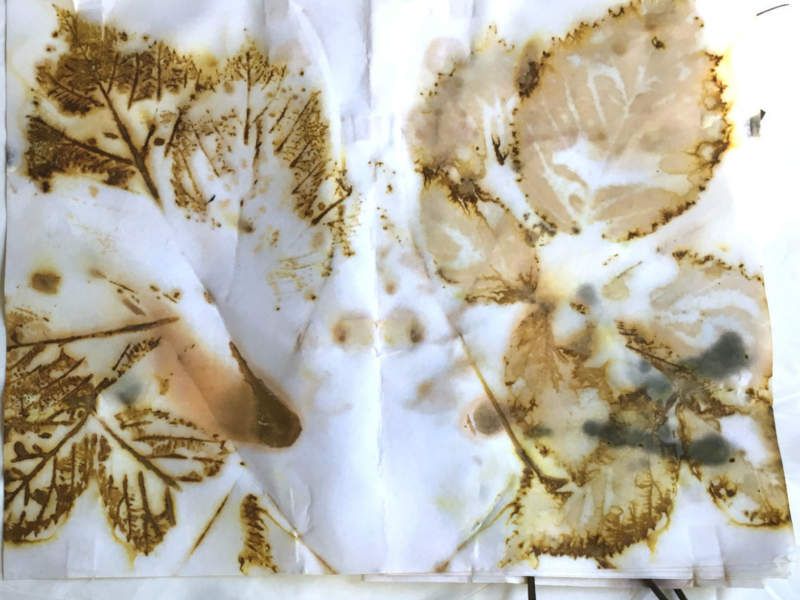 顯示您的EcoPrint