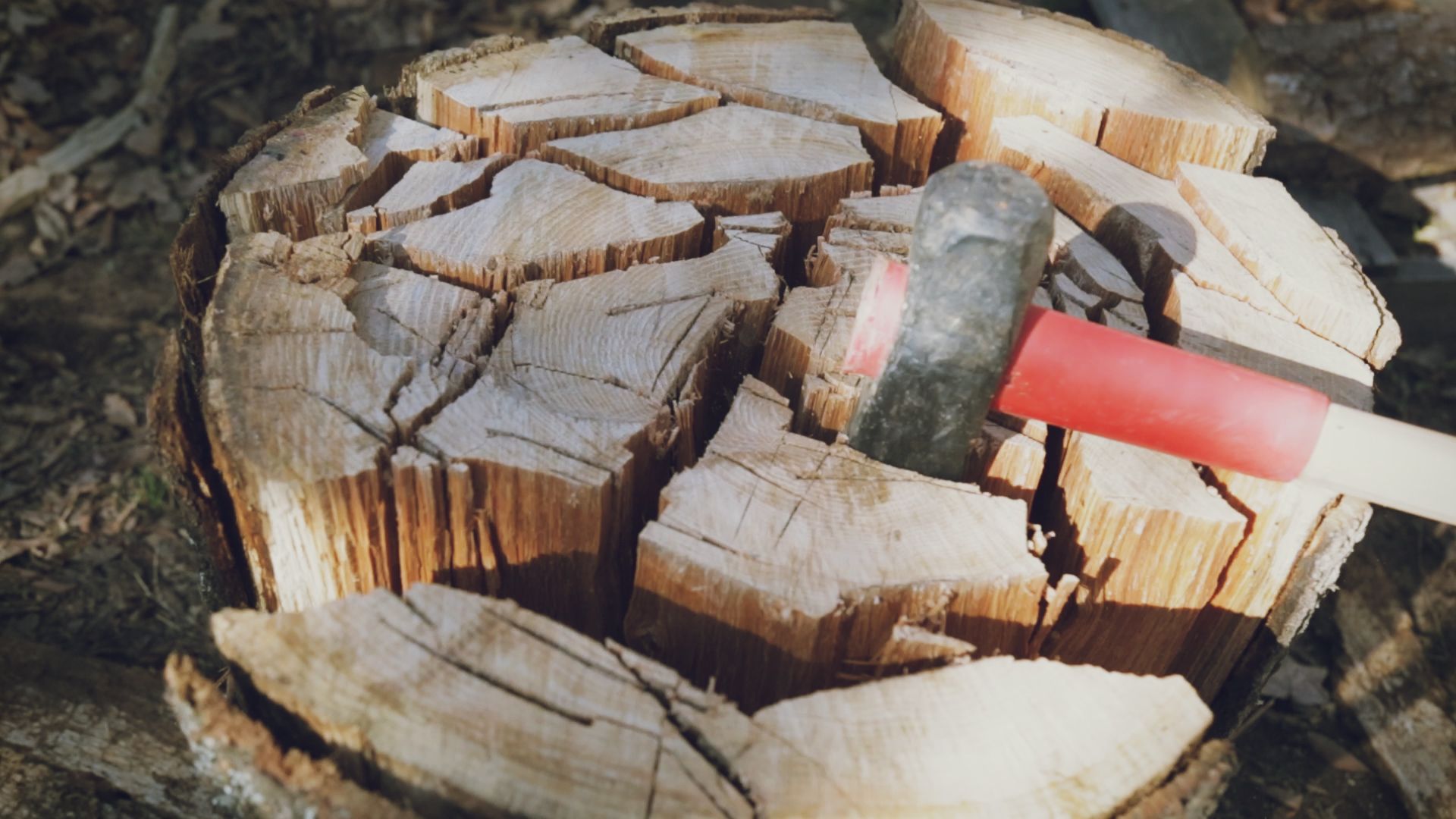 How to Split Large Rounds of Wood Easily : 5 Steps (with Pictures ...
