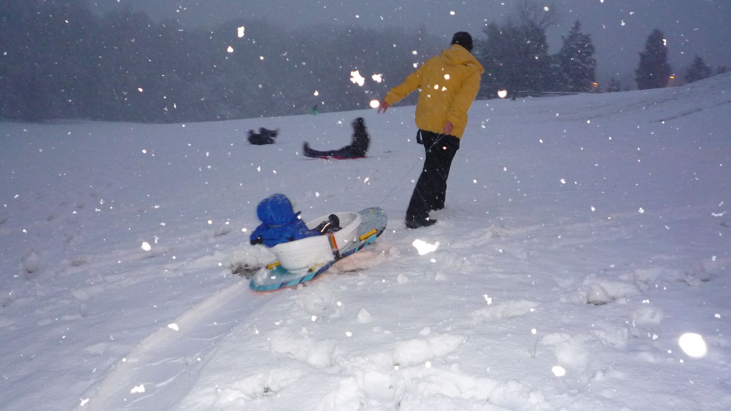 Toddler Sled