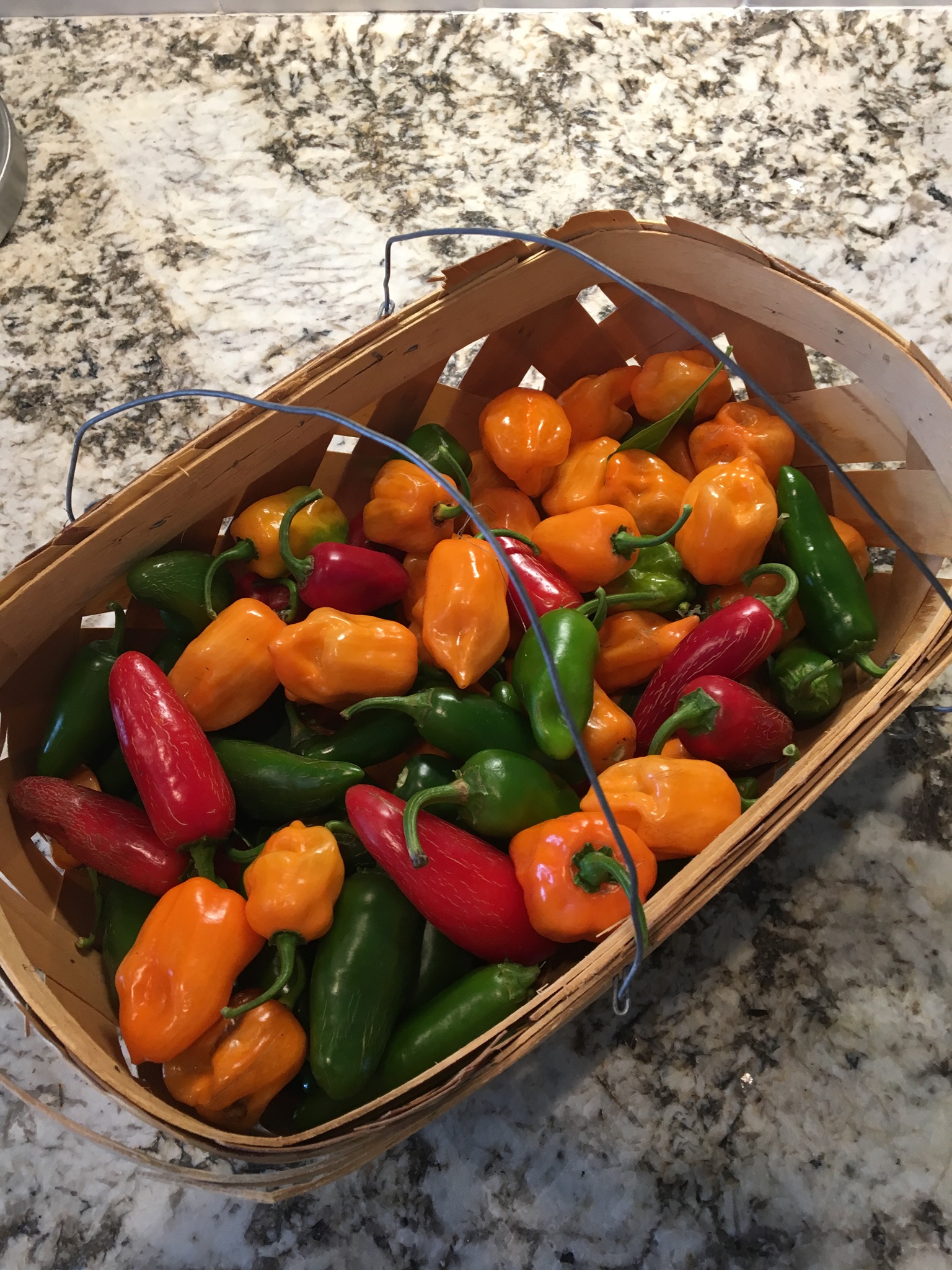 Extreme Blackberry / Habanero / Jalapeno Jelly (with Pictures) Instructables