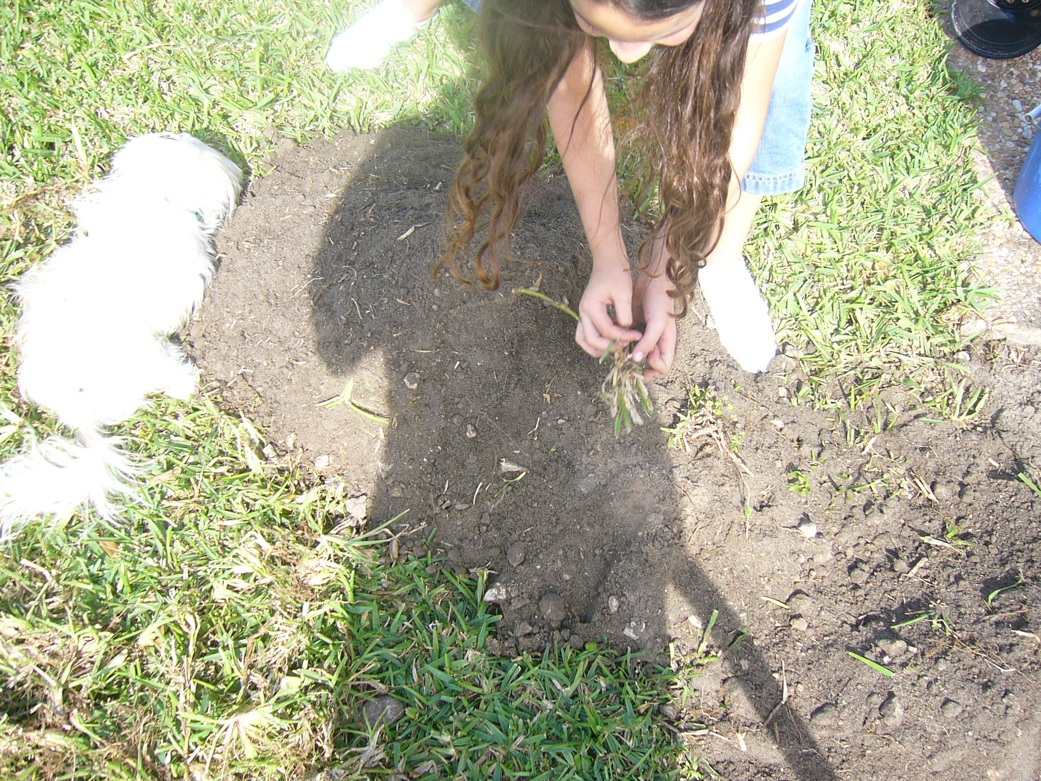 Dirt Garden 14 Steps (with Pictures) Instructables