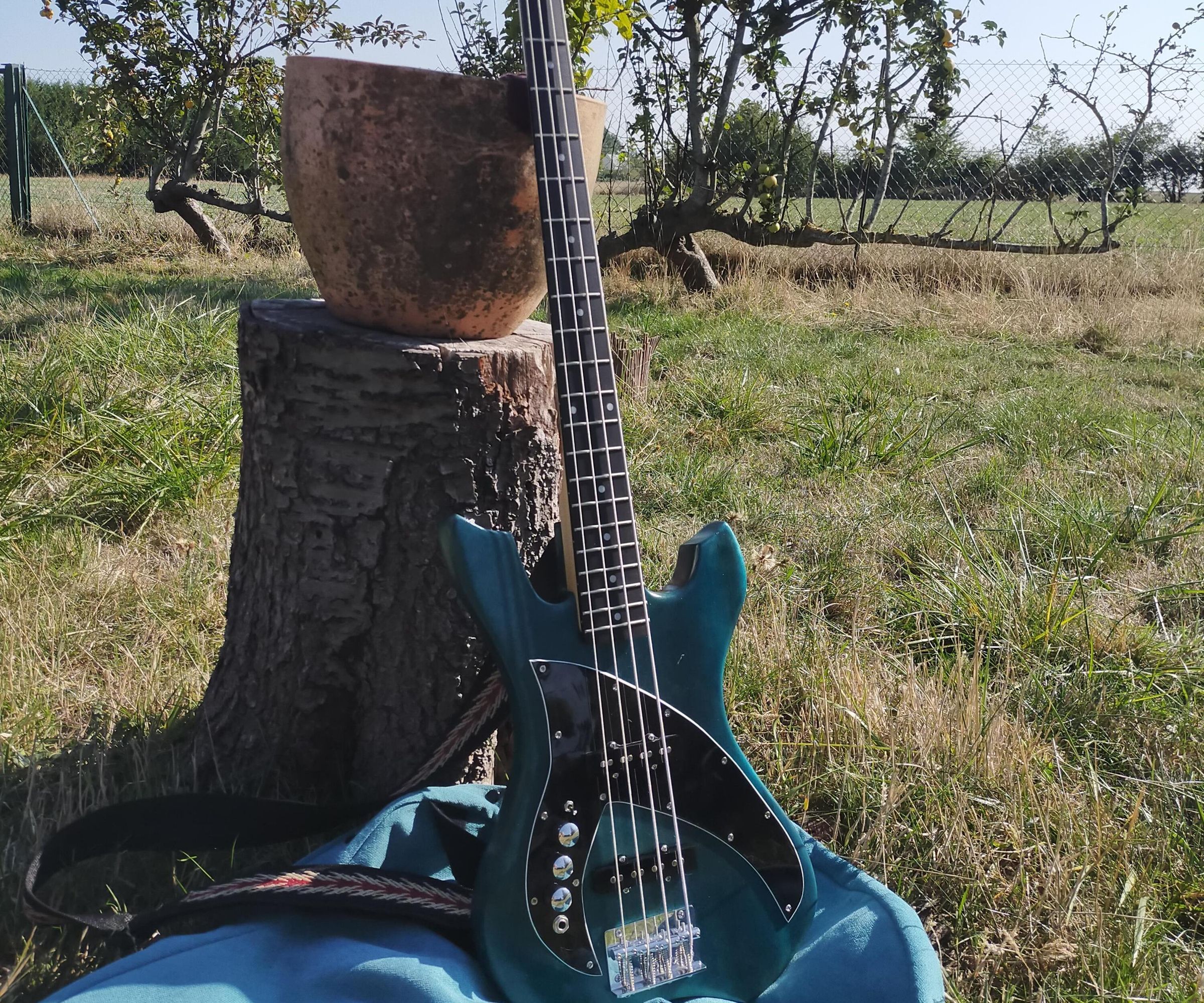 DIY guide for Build a Left-handed Bass / Guitar From a Right-handed Kit with step-by-step instructions