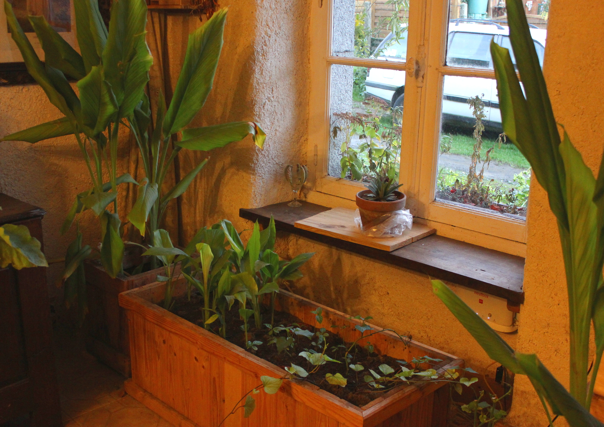 Car Greenhouse Growing Food, Extending the Season and Succeeding With