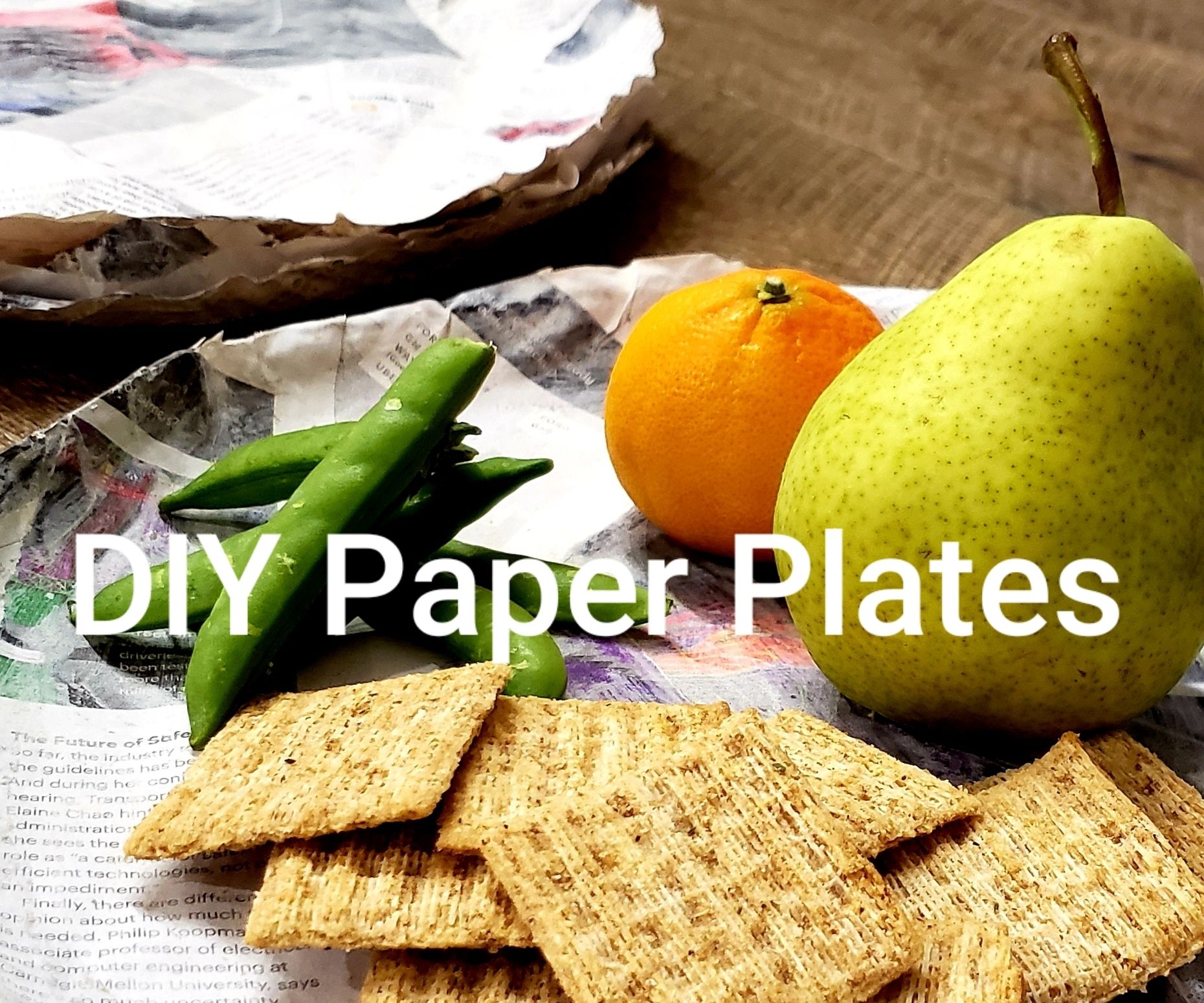 DIY Paper Plates 4 Steps Instructables