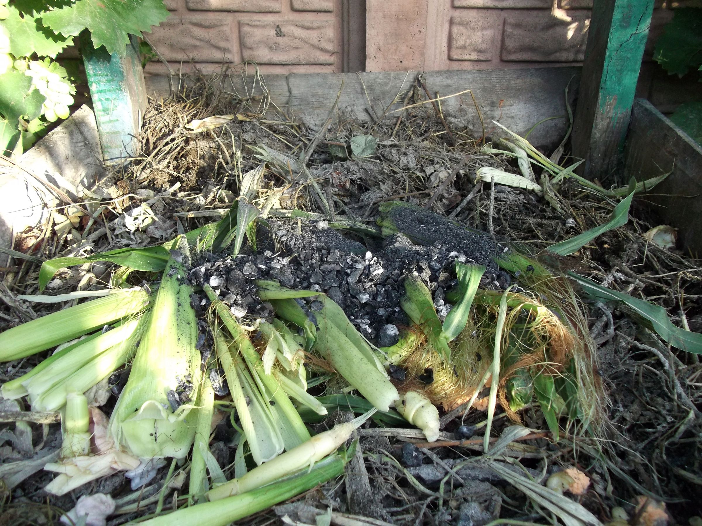 Processing Animal Bones for Composting (the Easy Way) 7 Steps (with