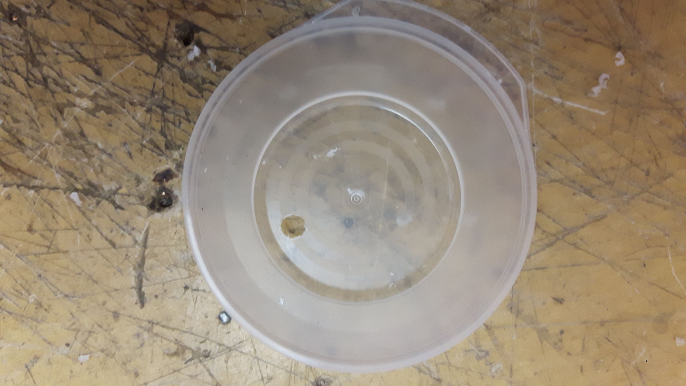 Battery Operated Fish Tank Pump/Filter 7 Steps Instructables