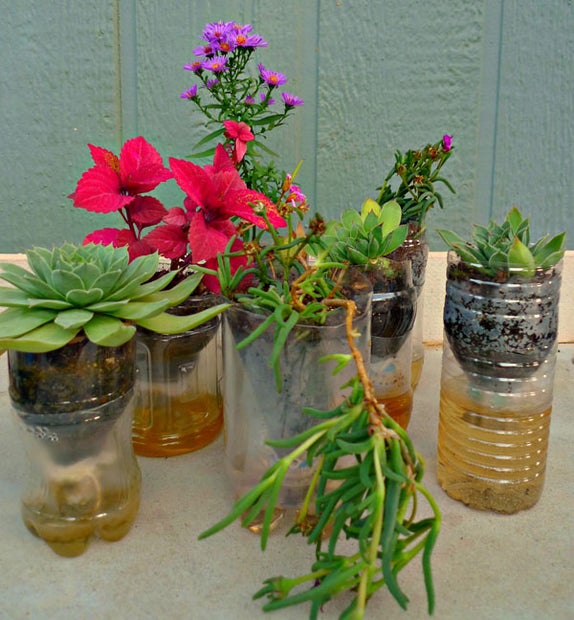 Plastic Bottle Planters With Pictures Instructables