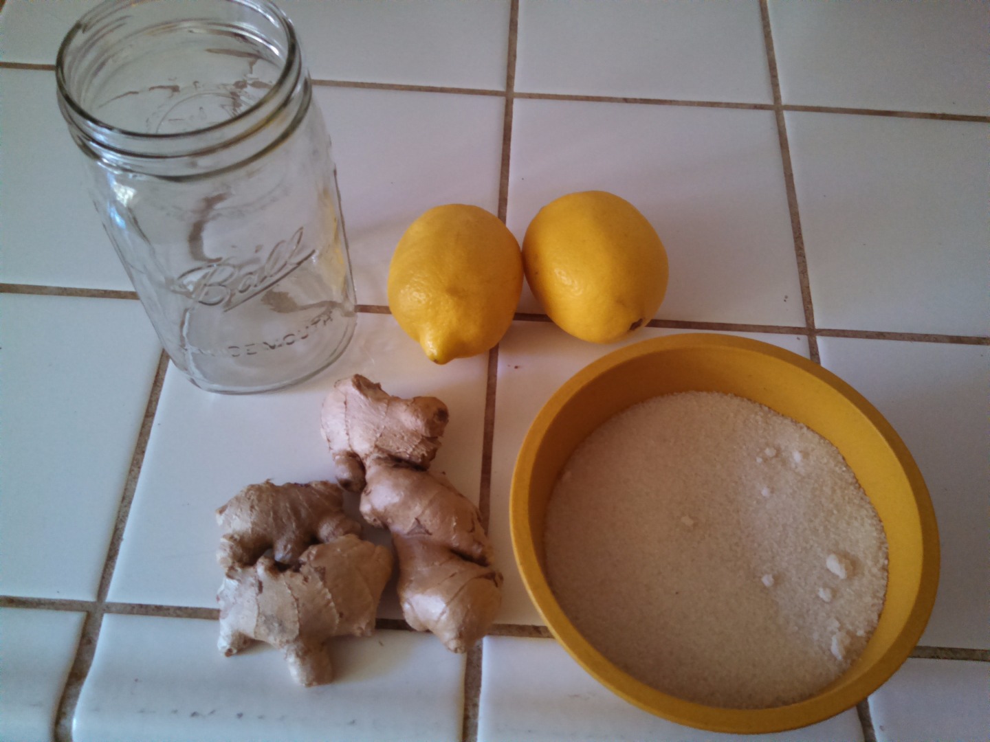 Homemade Ginger Beer With Wild Yeast 3 Steps (with Pictures) Instructables