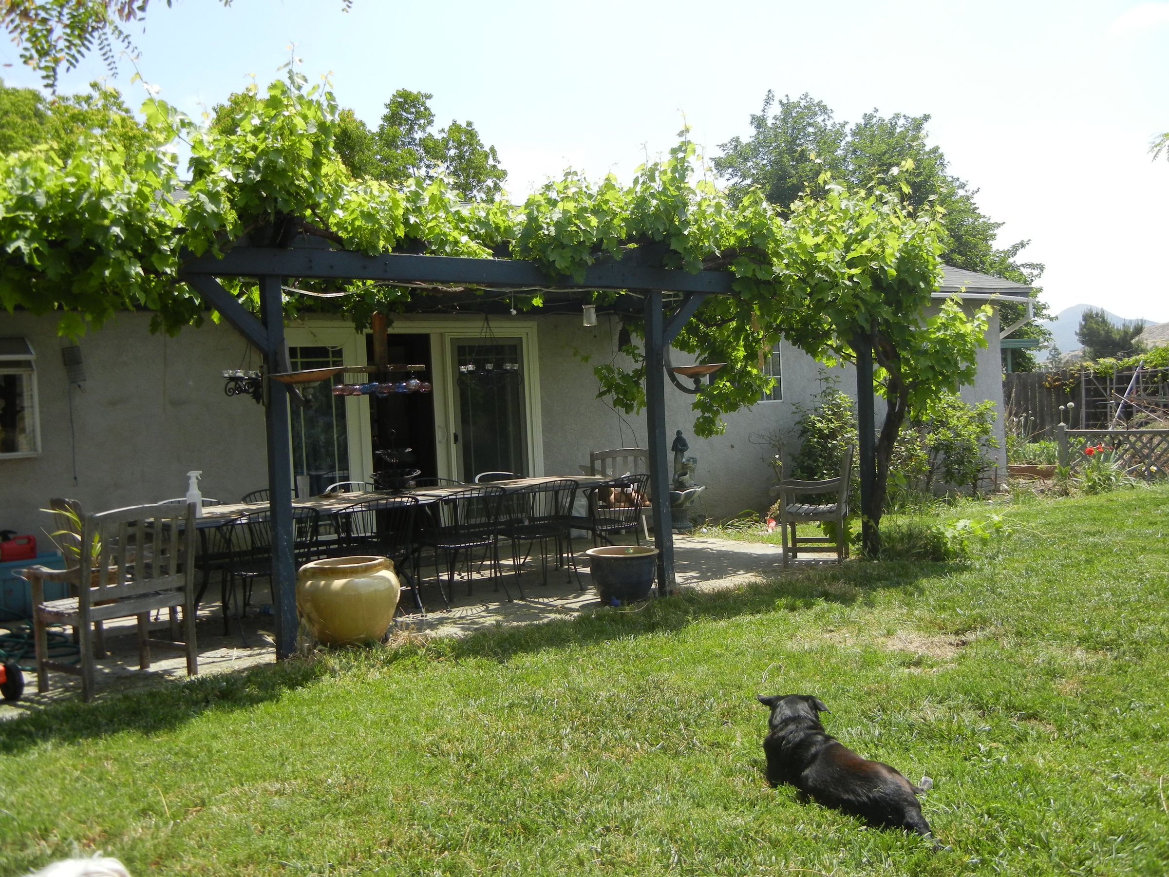 Grapevine Terrace