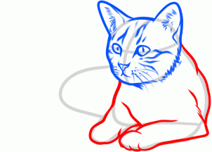 Featured image of post Cat Laying Down Drawing Easy