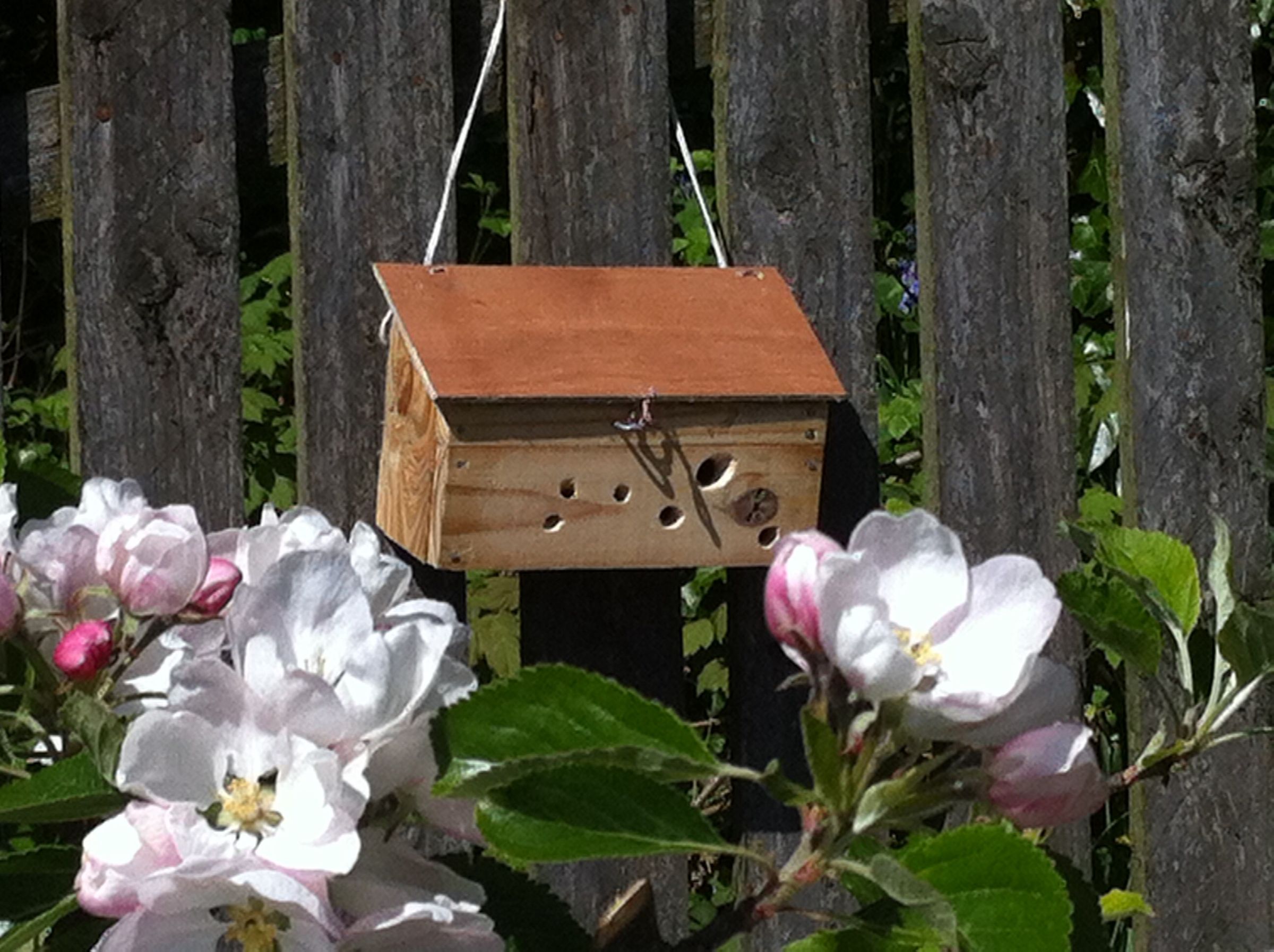 DIY guide for Reclaimed Wood Bee Box with step-by-step instructions