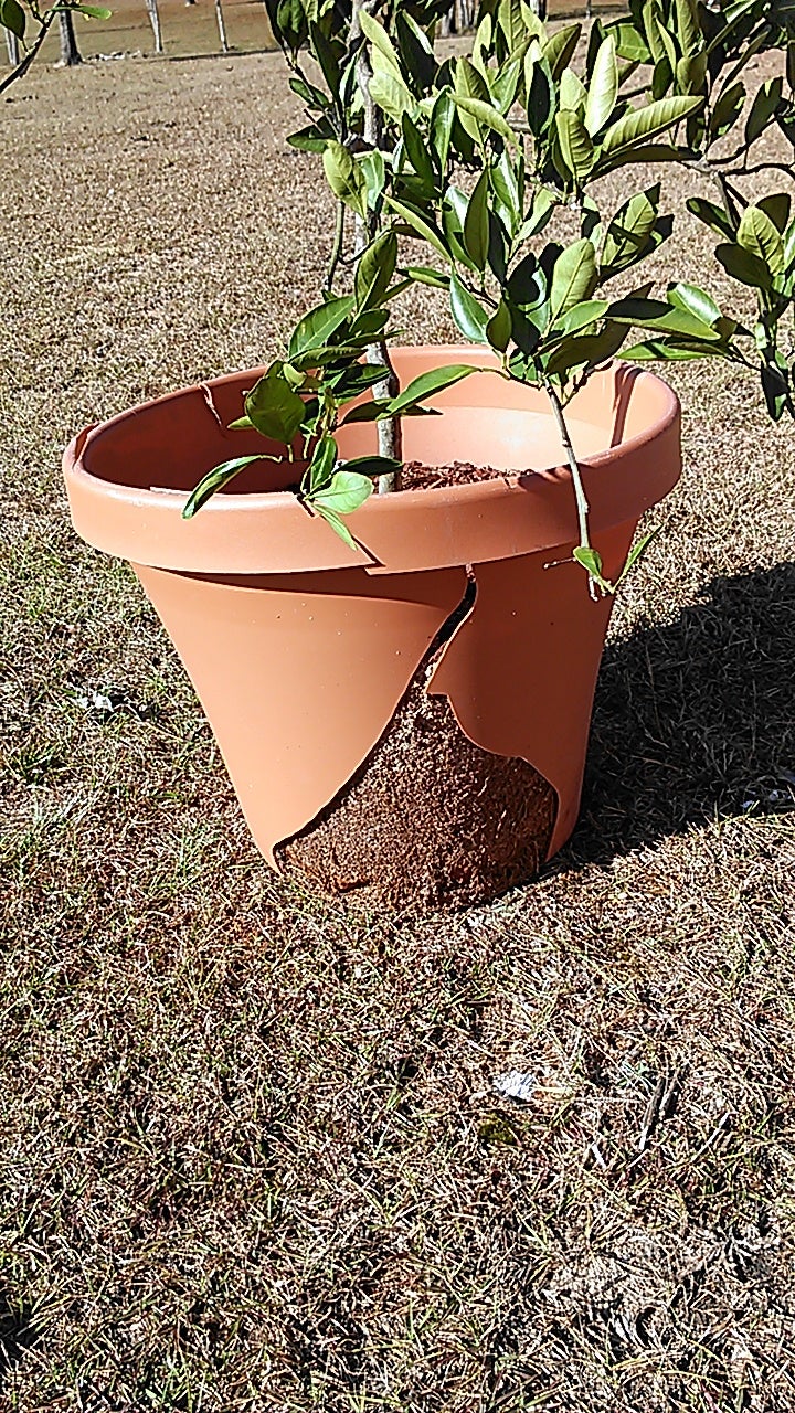 DIY Air Pruning Pot (Large Pot) Instructables