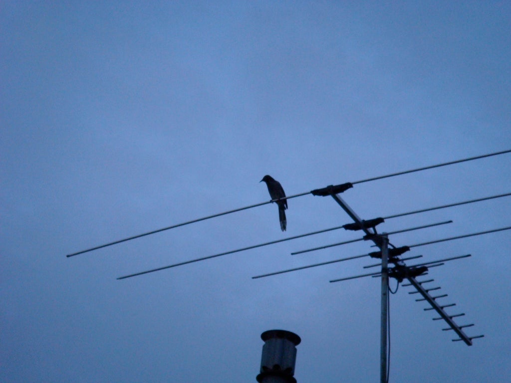Como Instalar Una Antena De Television 4 Steps Instructables