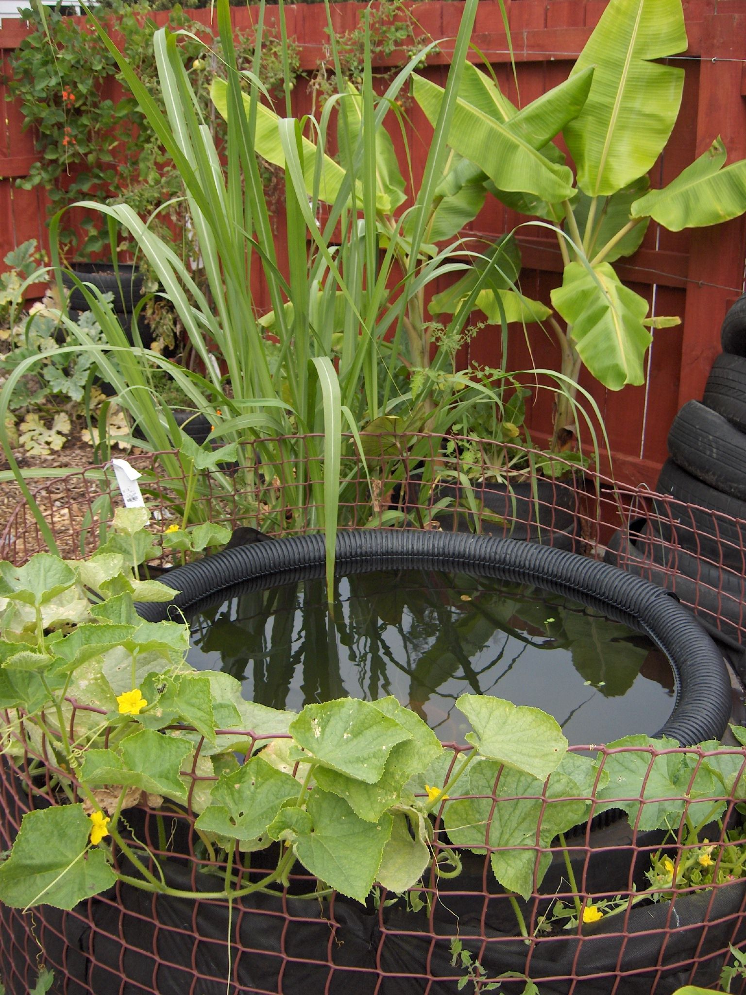Fish Pond From Tractor (or Car) Tires 9 Steps (with Pictures