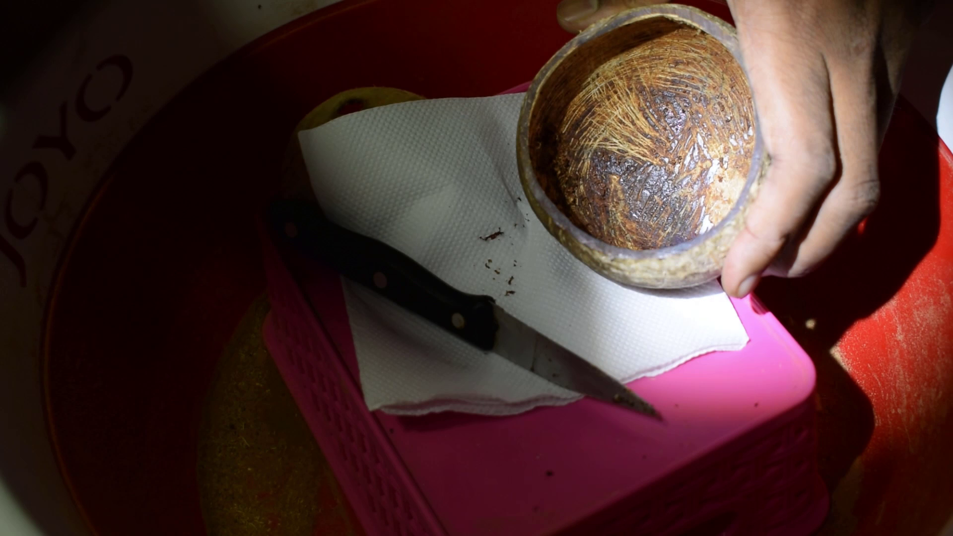 How to Make Cup From Coconut DIY Coconut Cup 11 Steps Instructables