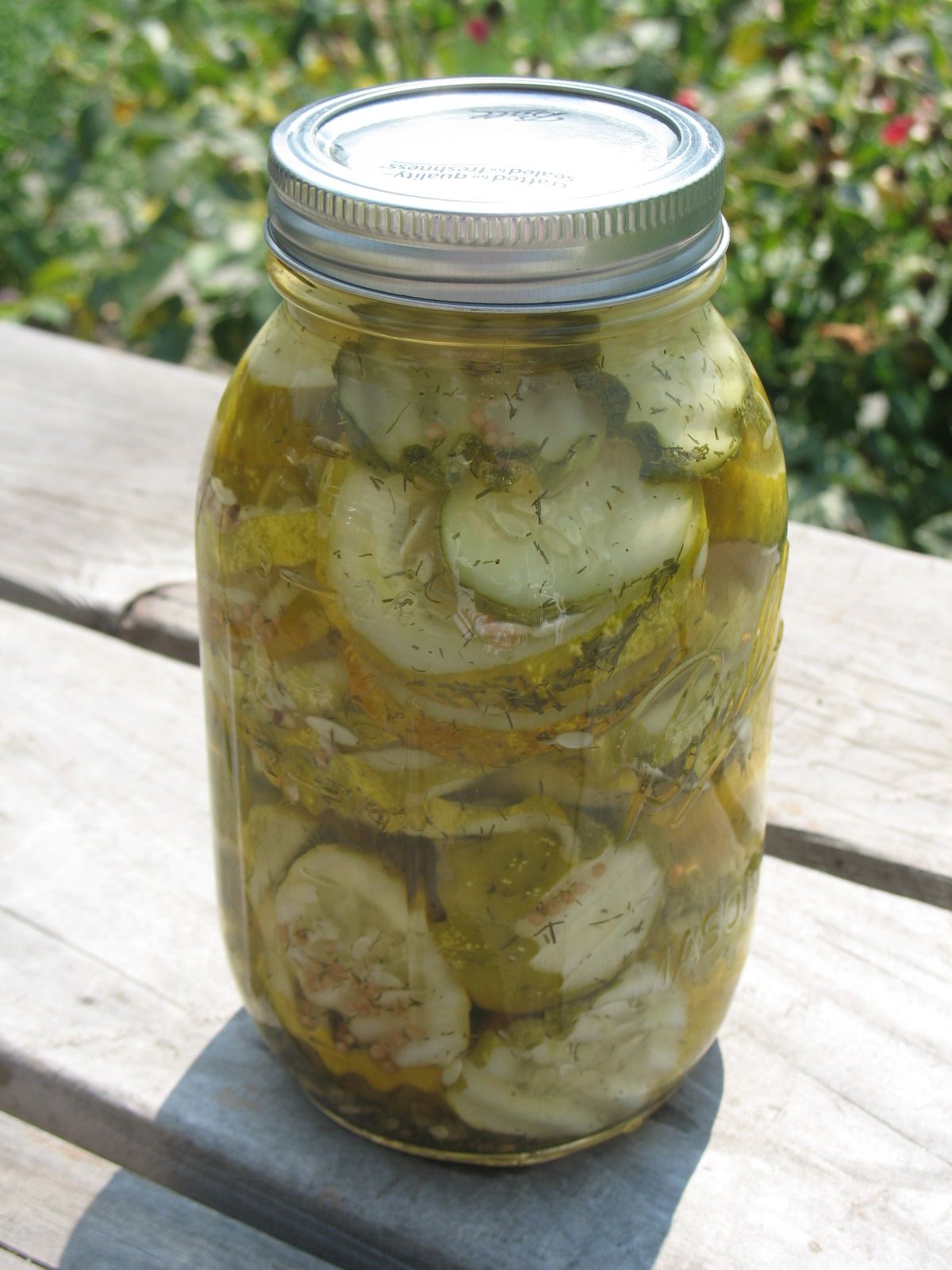 Trial and Error Dill Pickles