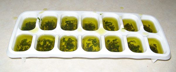 Basil and Olive Oil Icecubes for Cooking