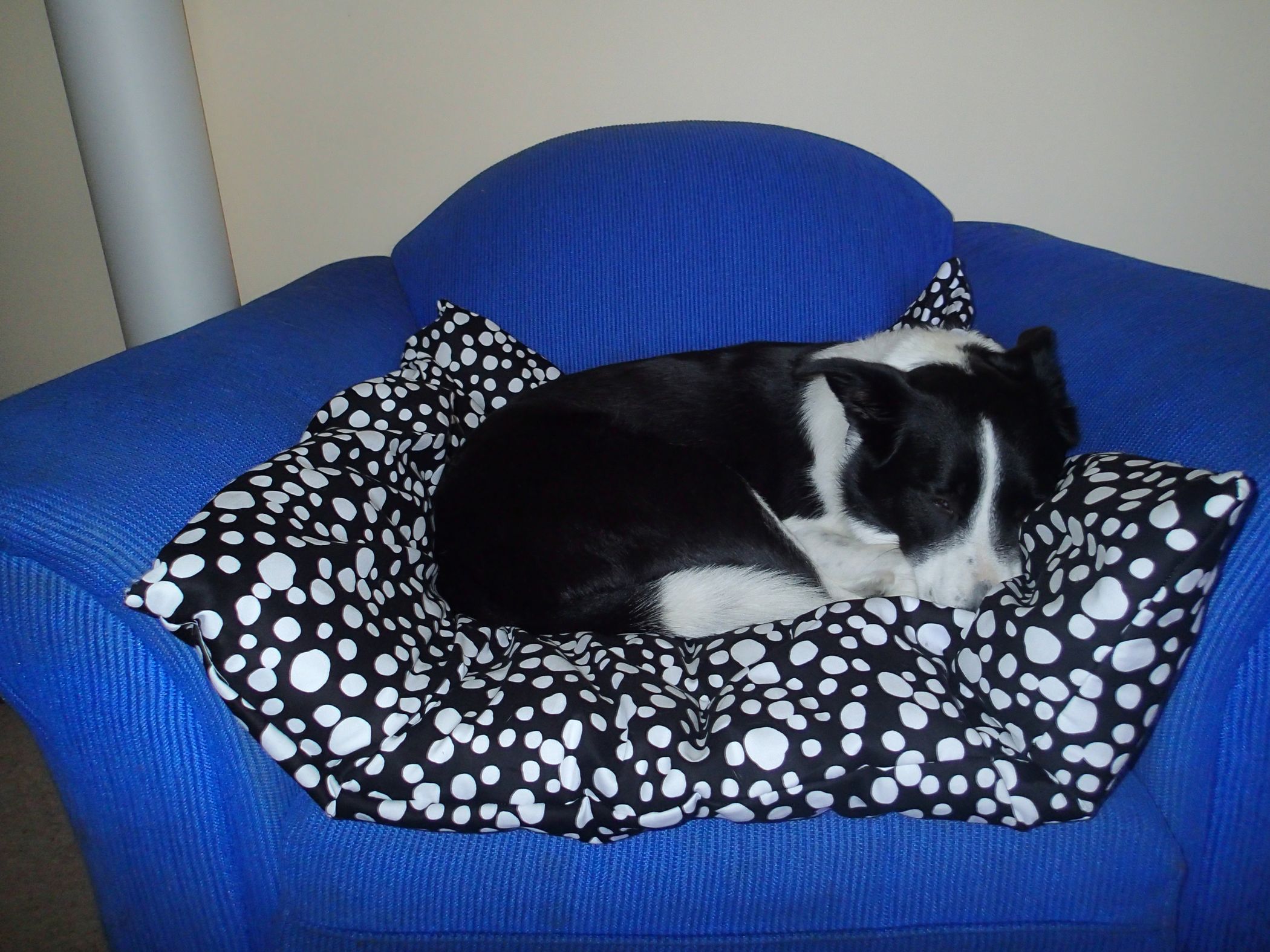 Giant Pillow Pet Bed! 11 Steps (with Pictures) Instructables