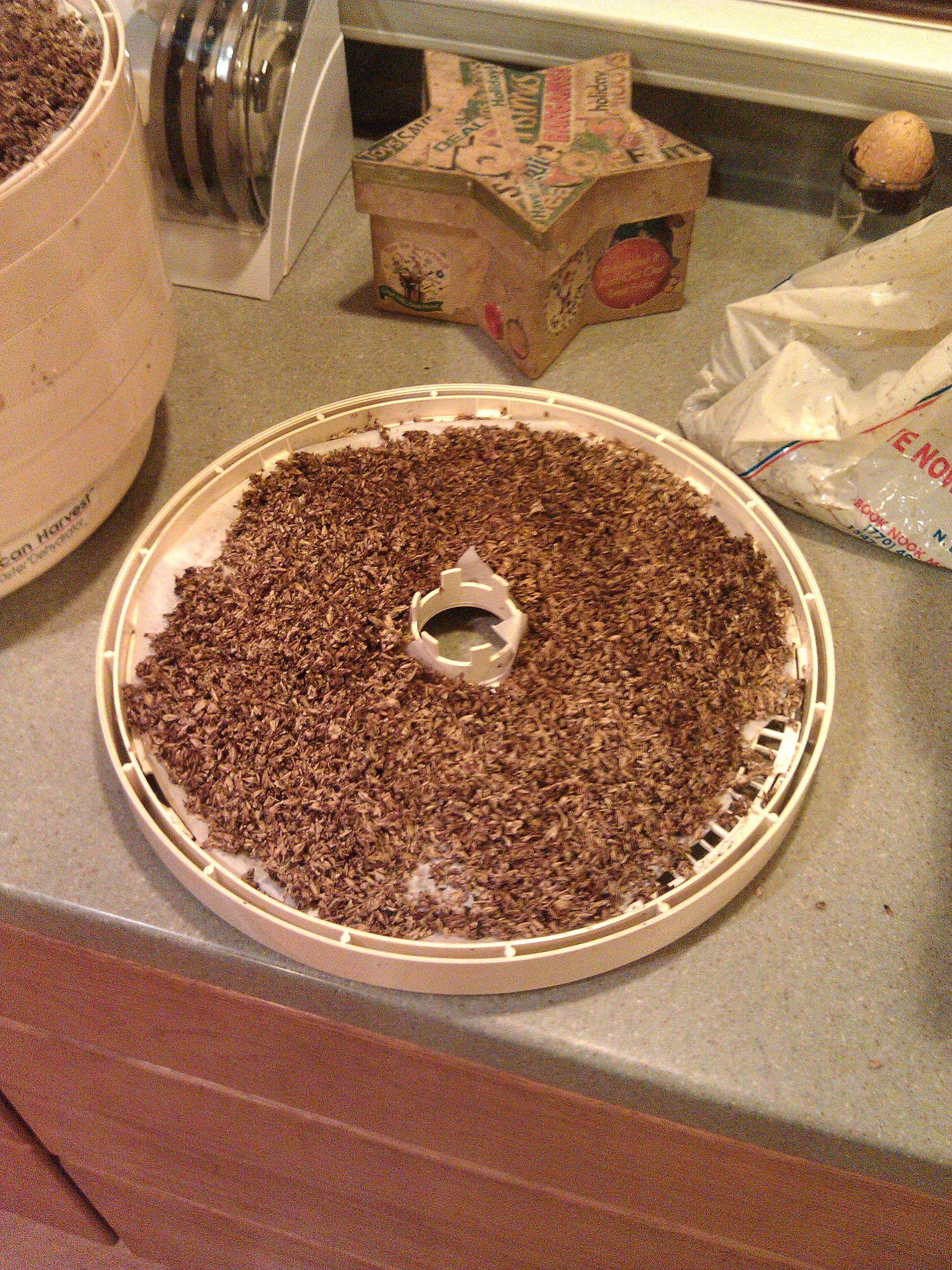 How to Use Spent Beer Grains for Baking 6 Steps Instructables