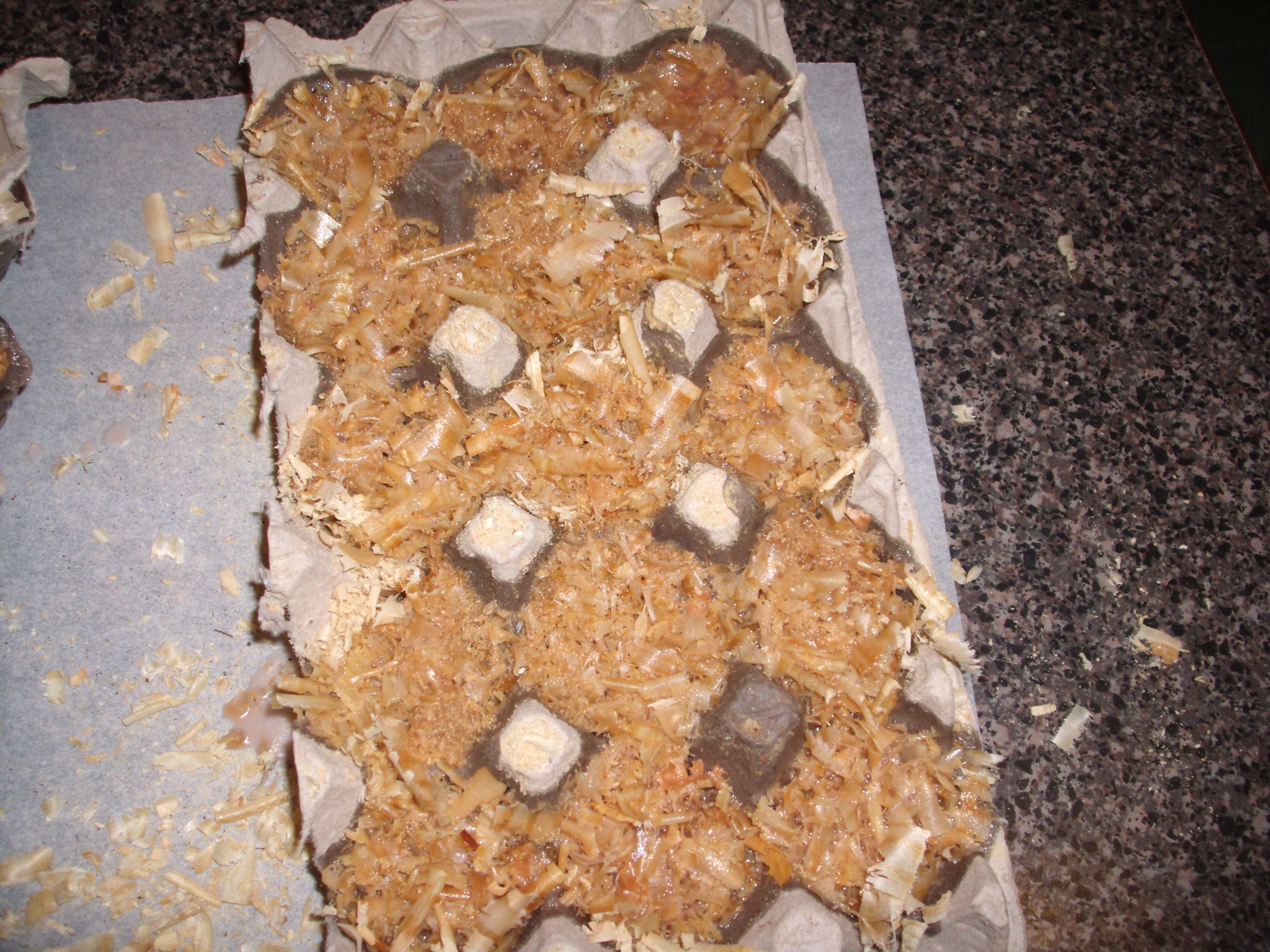 How To Make Fire Starters With Sawdust I’ve seen posted a number of