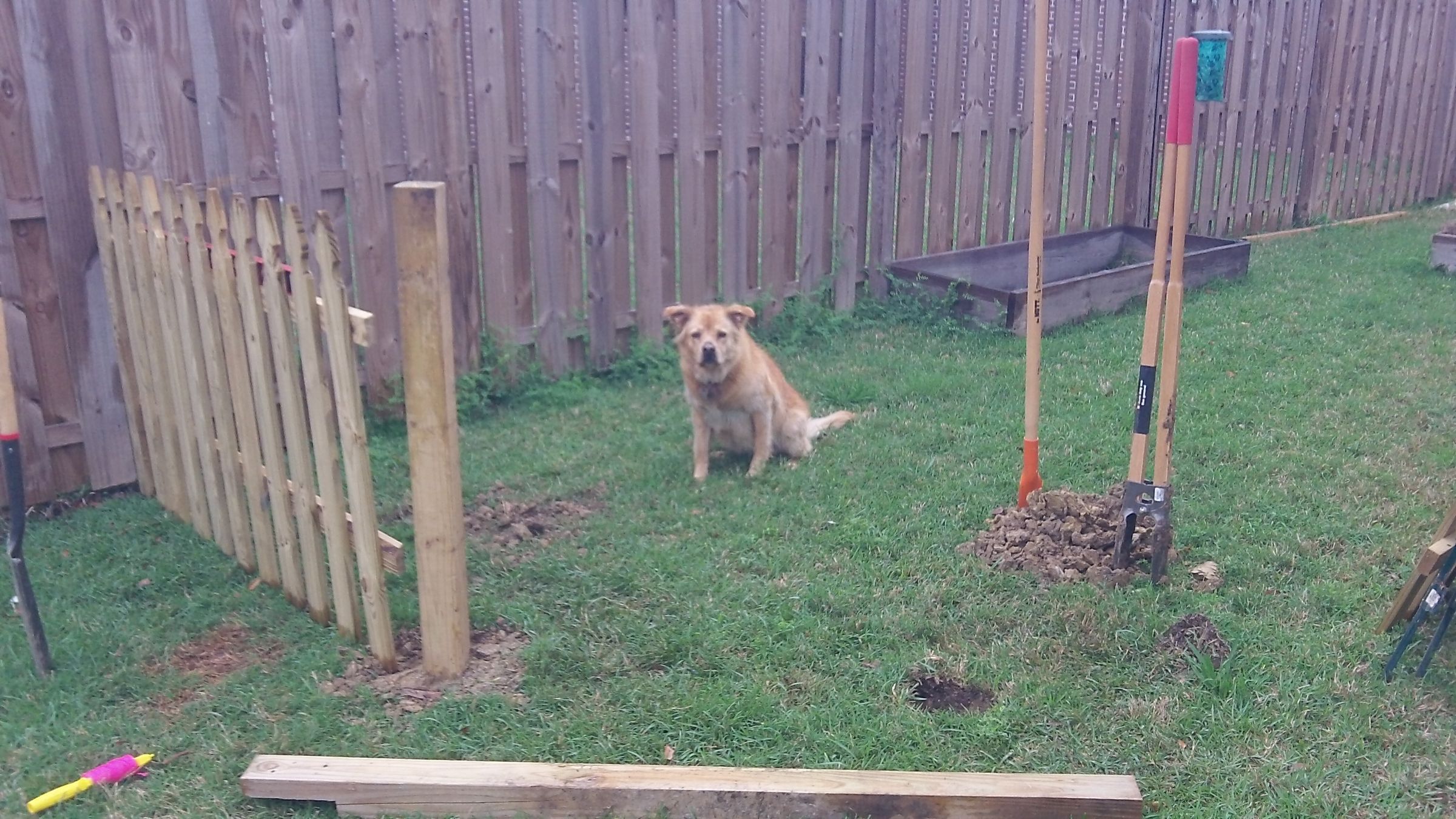 semi permanent dog fence