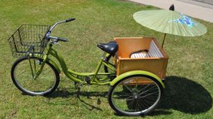my rickshaw DIY Project - Step-by-Step DIY Project | FindingDIY