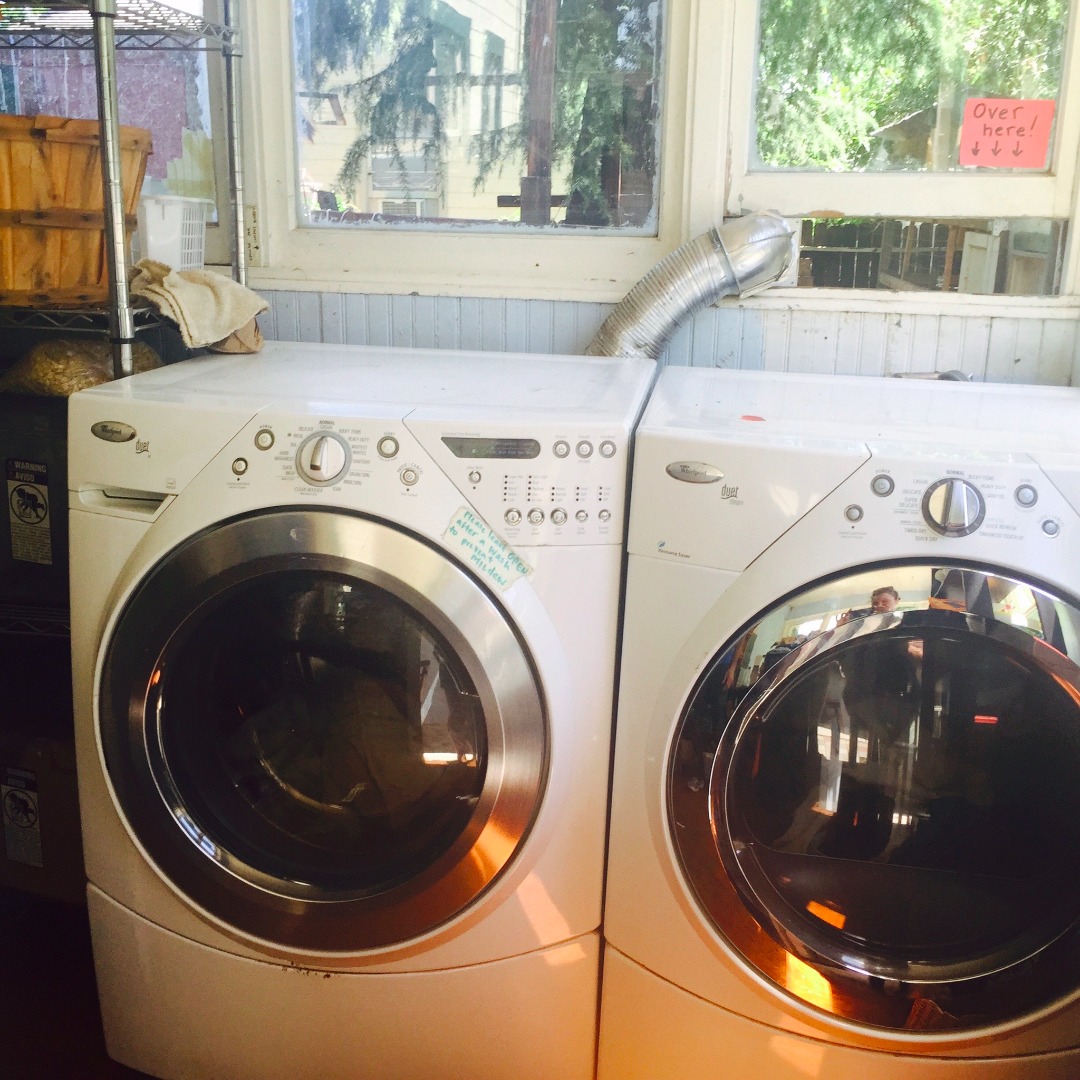 Laundry to Landscape Greywater System 17 Steps (with Pictures