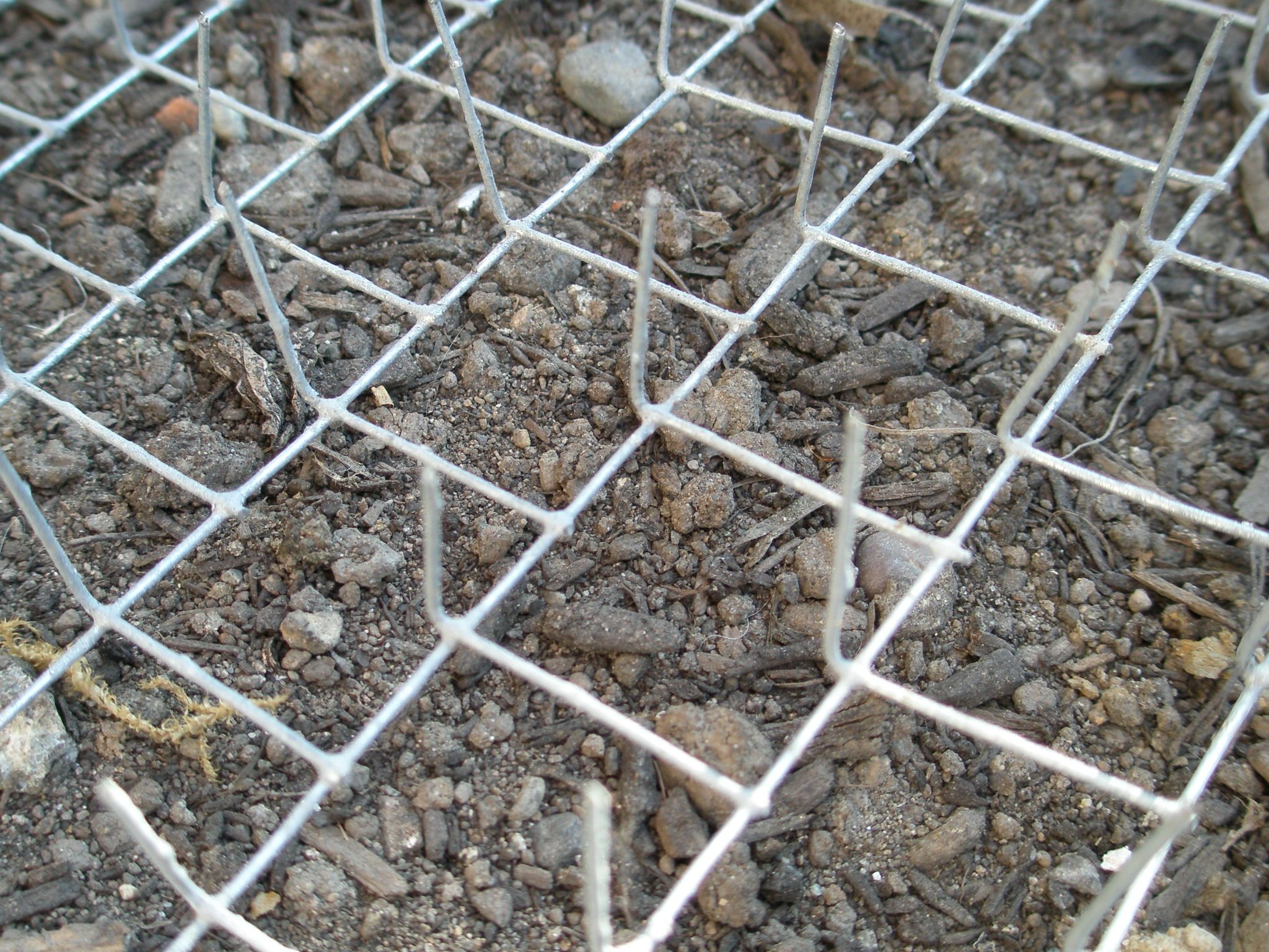 AntiCat Poop Garden Instructables