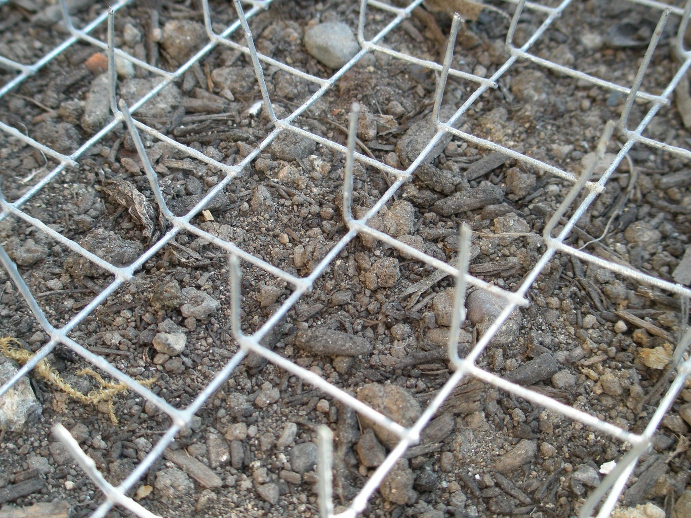 Anti Cat Poop Garden Instructables anti-cat-poop-garden-instructables