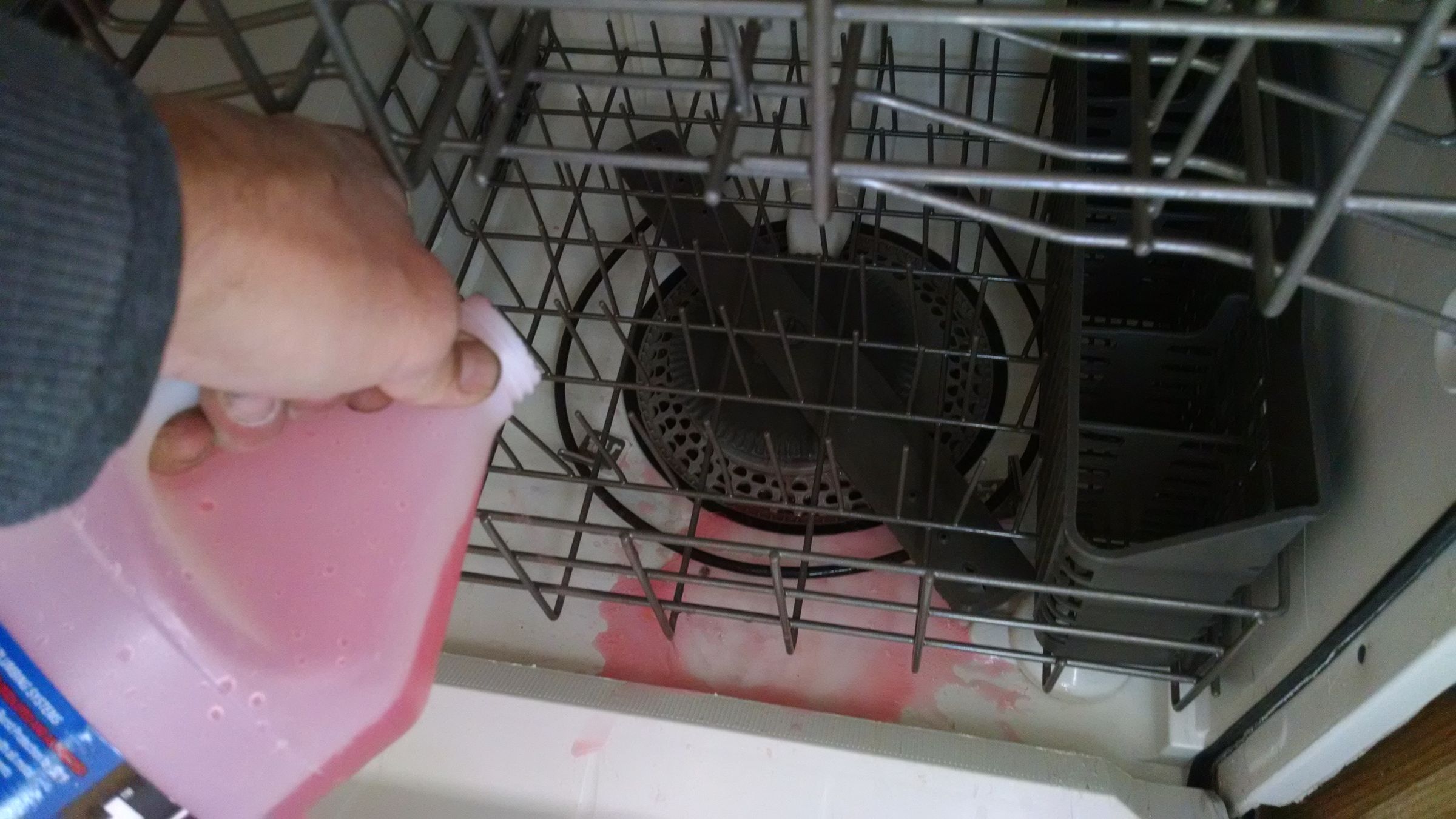 Can Dishwasher Drain Freeze?