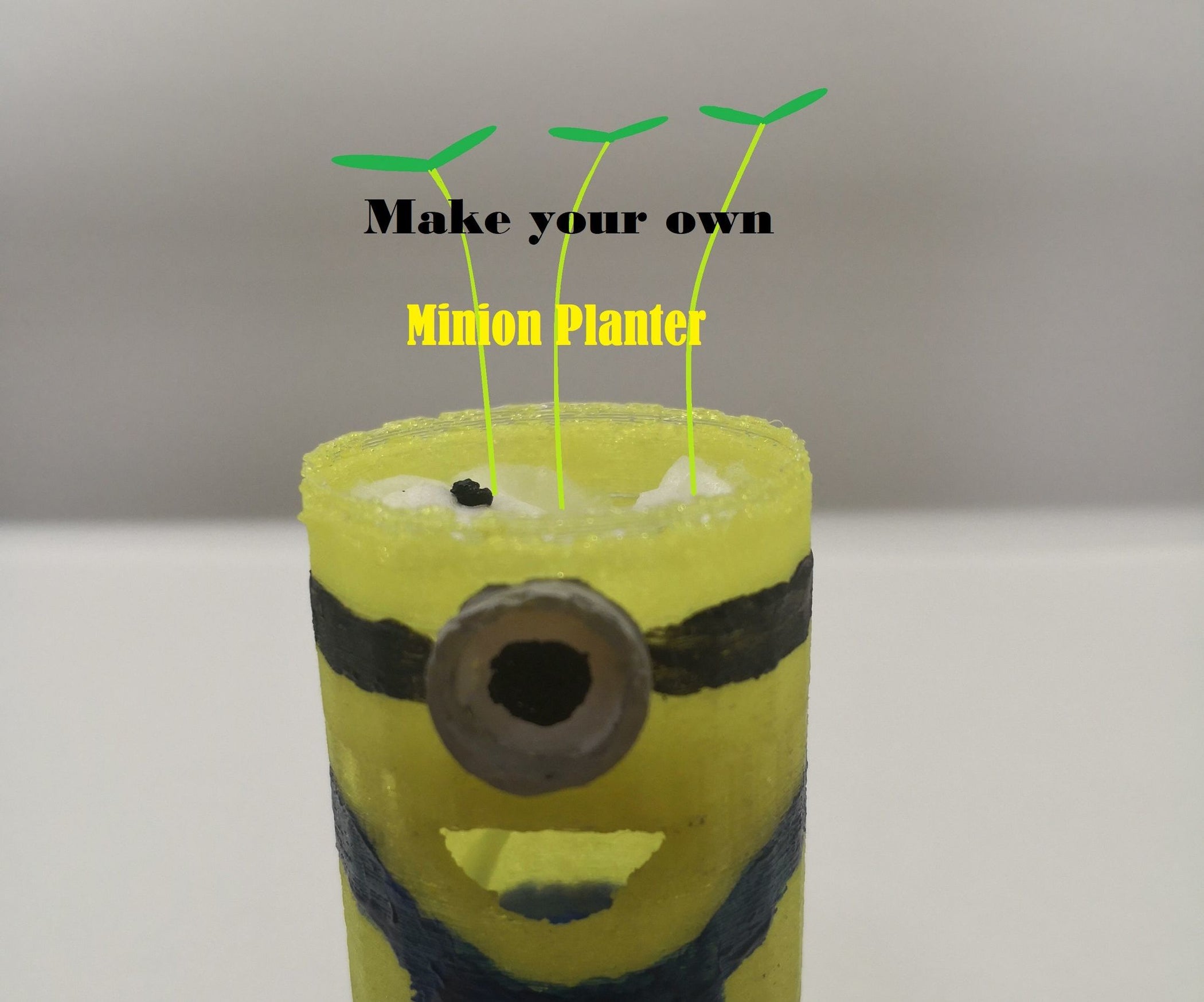 Minion Planter 11 Steps Instructables