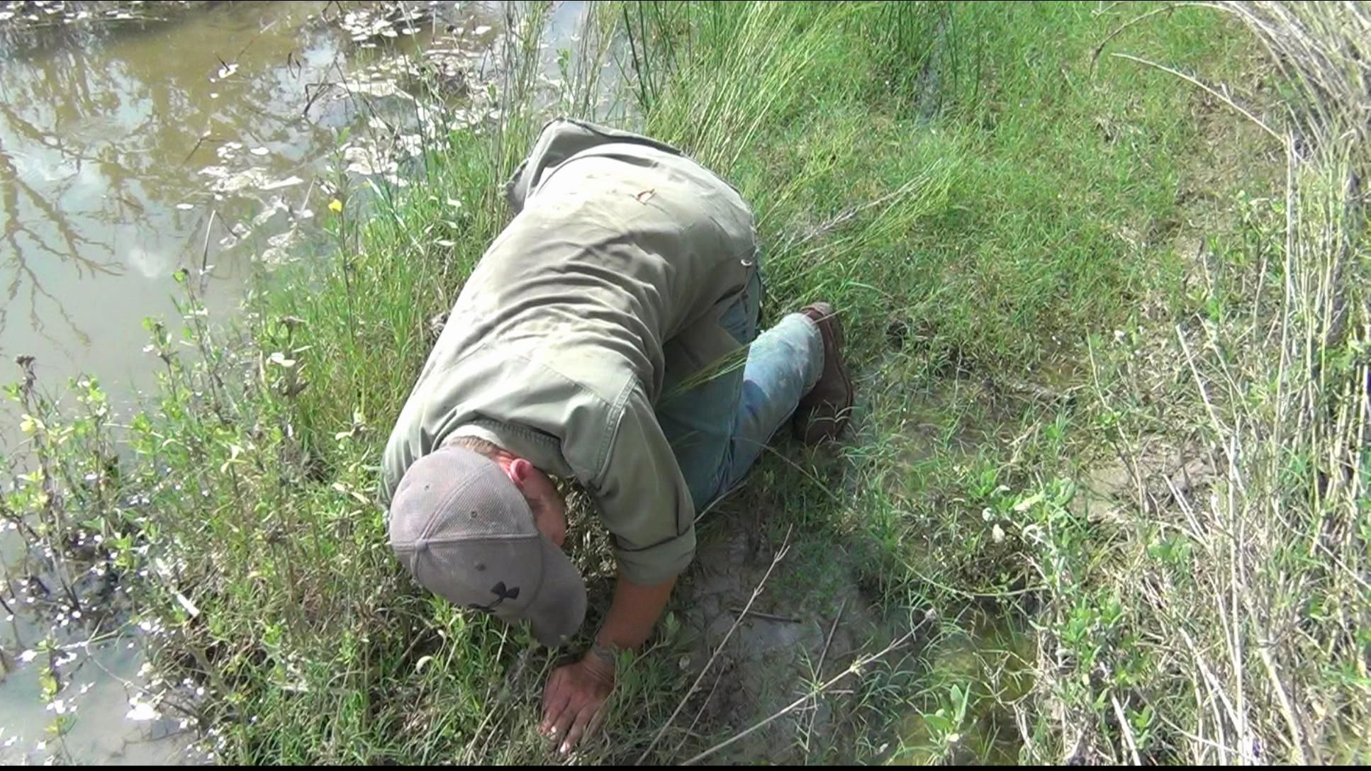 How to Dig Up Crawfish! Aka Crawdads, Crayfish, Mudbugs, Crays