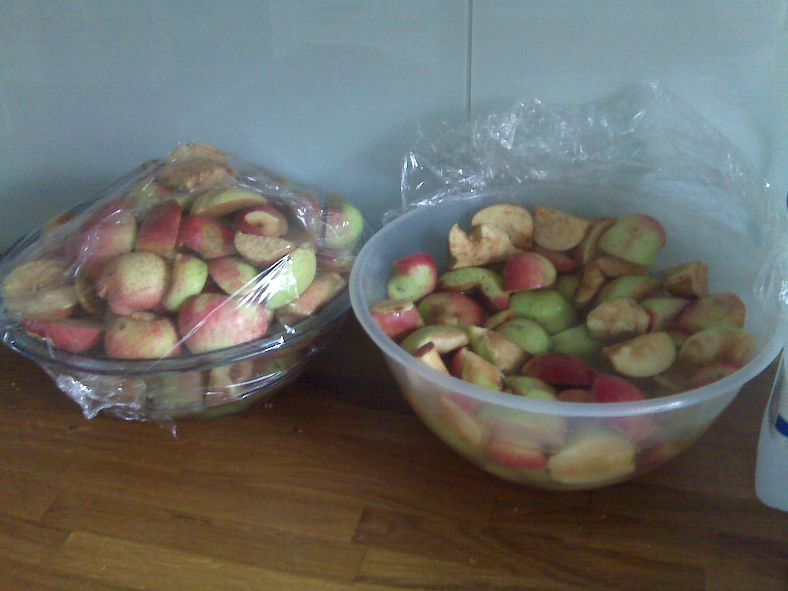 Simple Homemade Cider With a Juicer and No Press 4 Steps Instructables