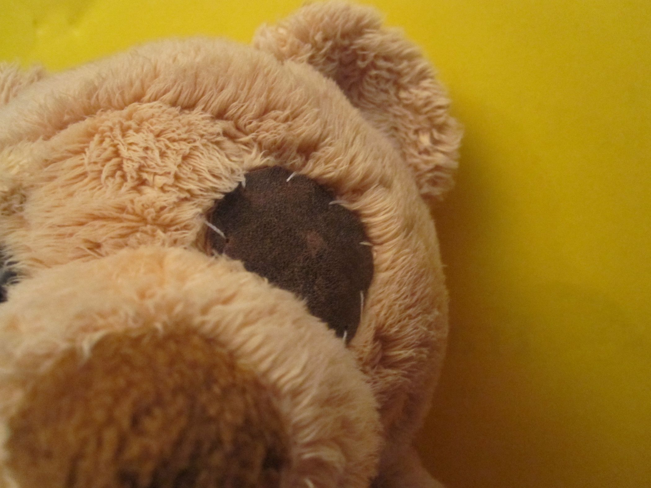 How to Put an Eyepatch on a TEDDY BEAR 4 Steps Instructables