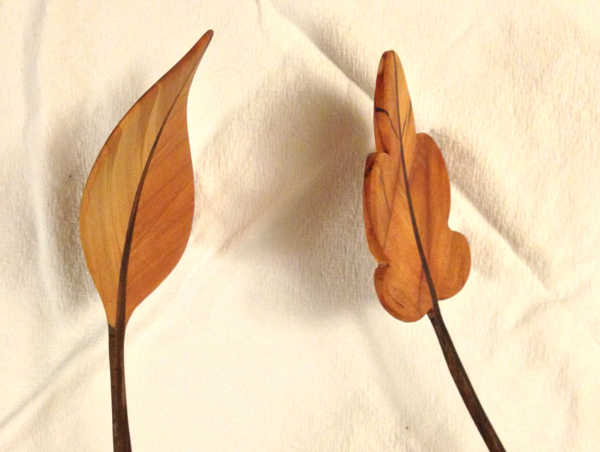 Decorative Leaves From Wood 4 Steps (with Pictures) Instructables